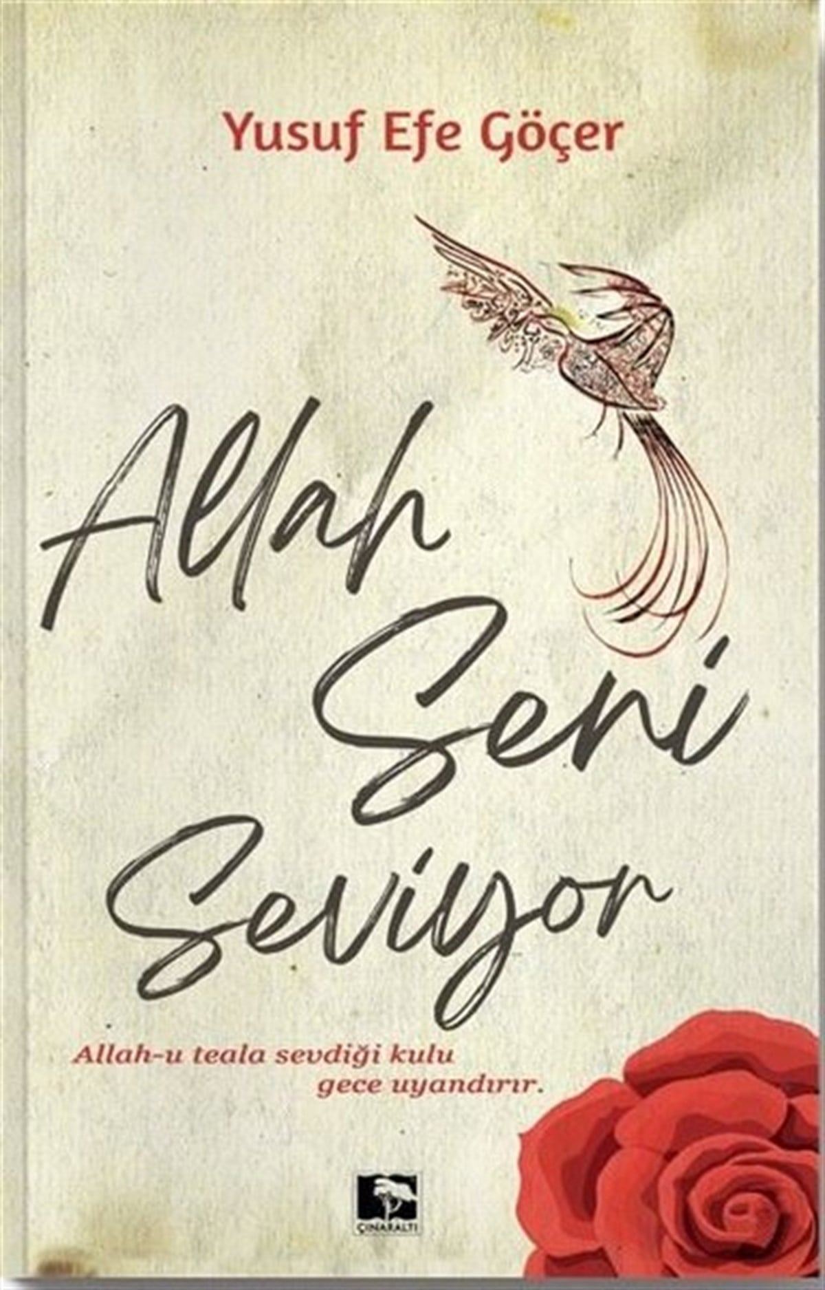 Yusuf Efe GöçerTasavvuf KitaplarıAllah Seni Seviyor