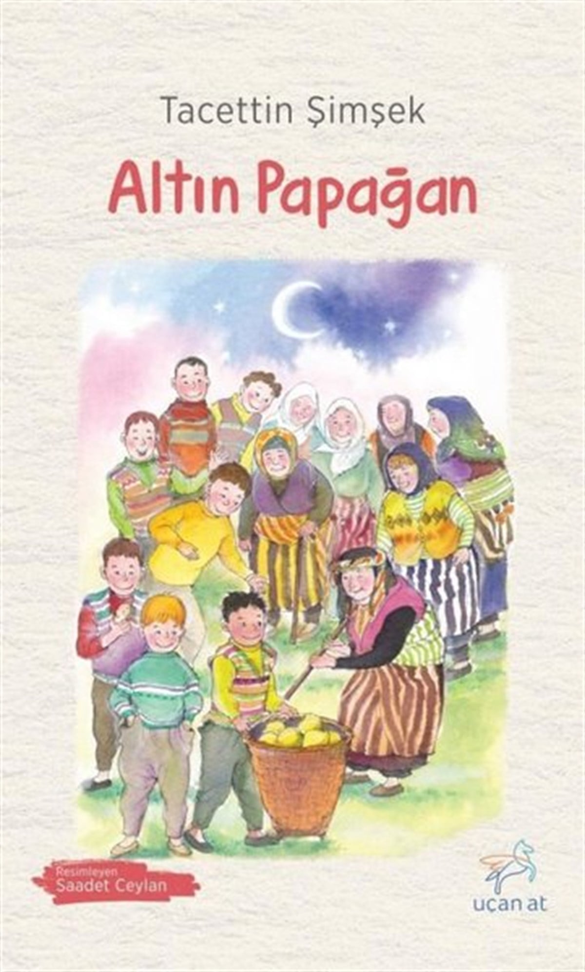 Tacettin ŞimşekÇocuk Gençlik RomanlarıAltın Papağan