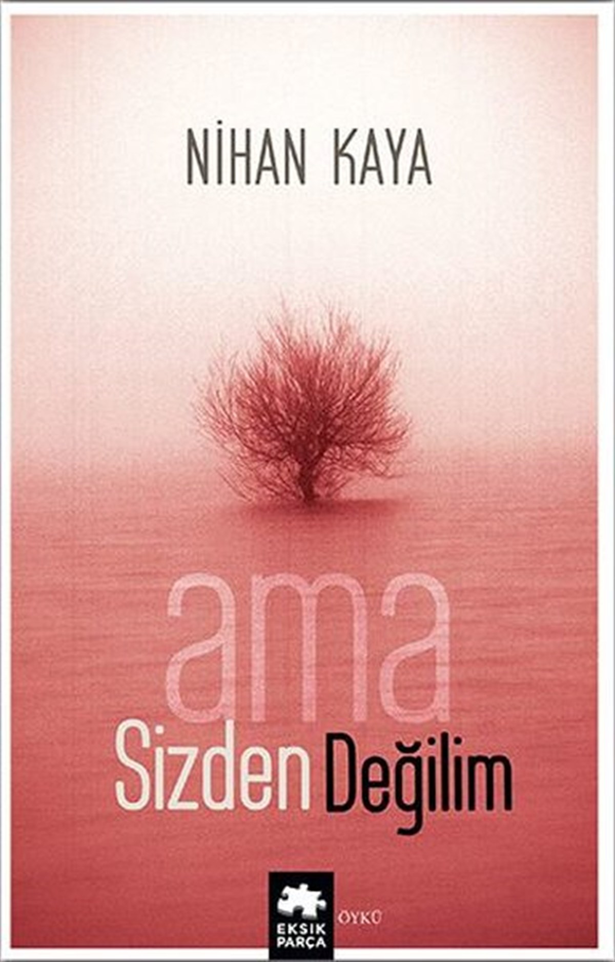 Nihan KayaTürkiye RomanAma Sizden Değilim