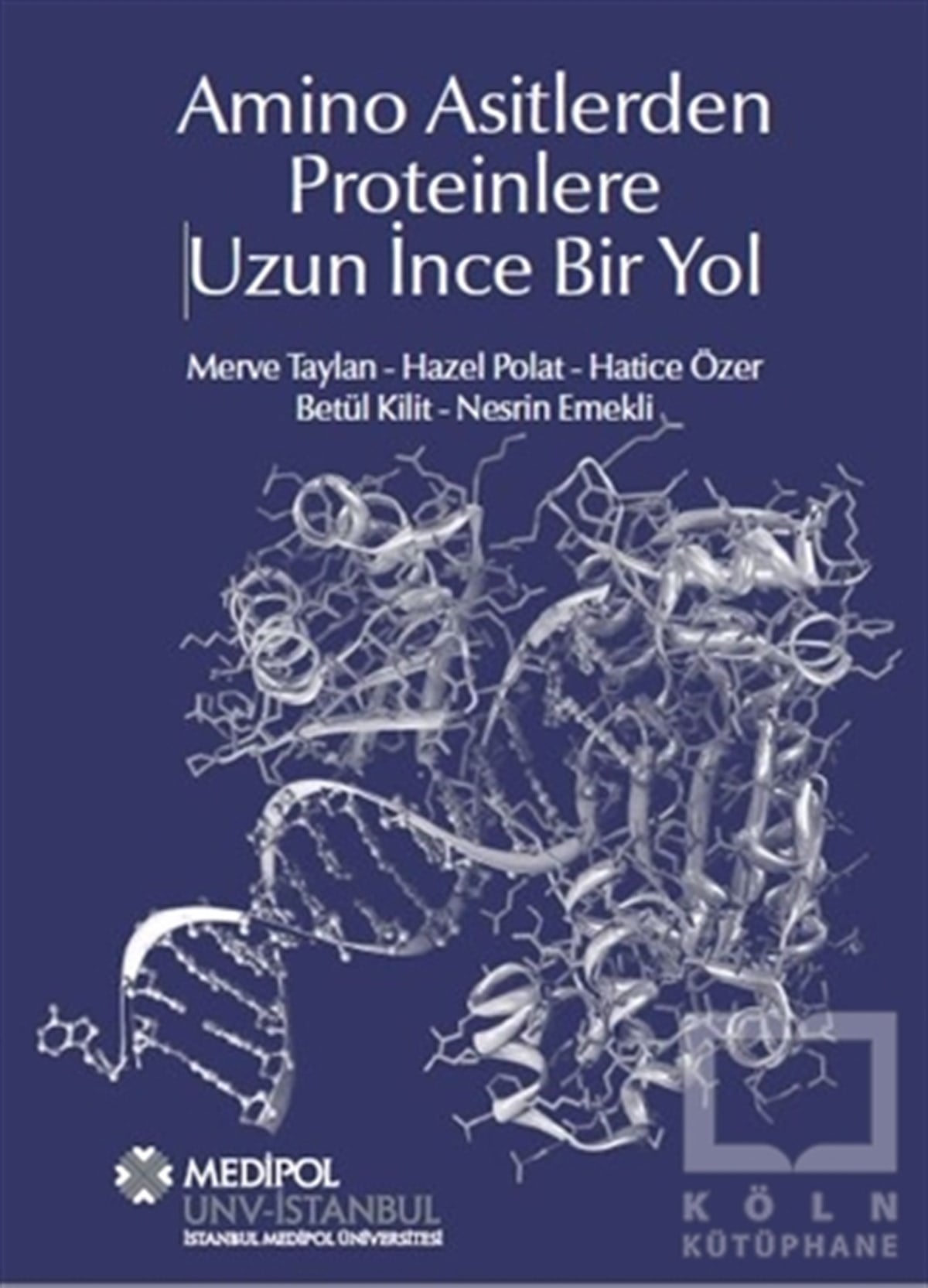 Merve TaylanAkademikAmino Asitlerden Proteinlere Uzun İnce Bir Yol