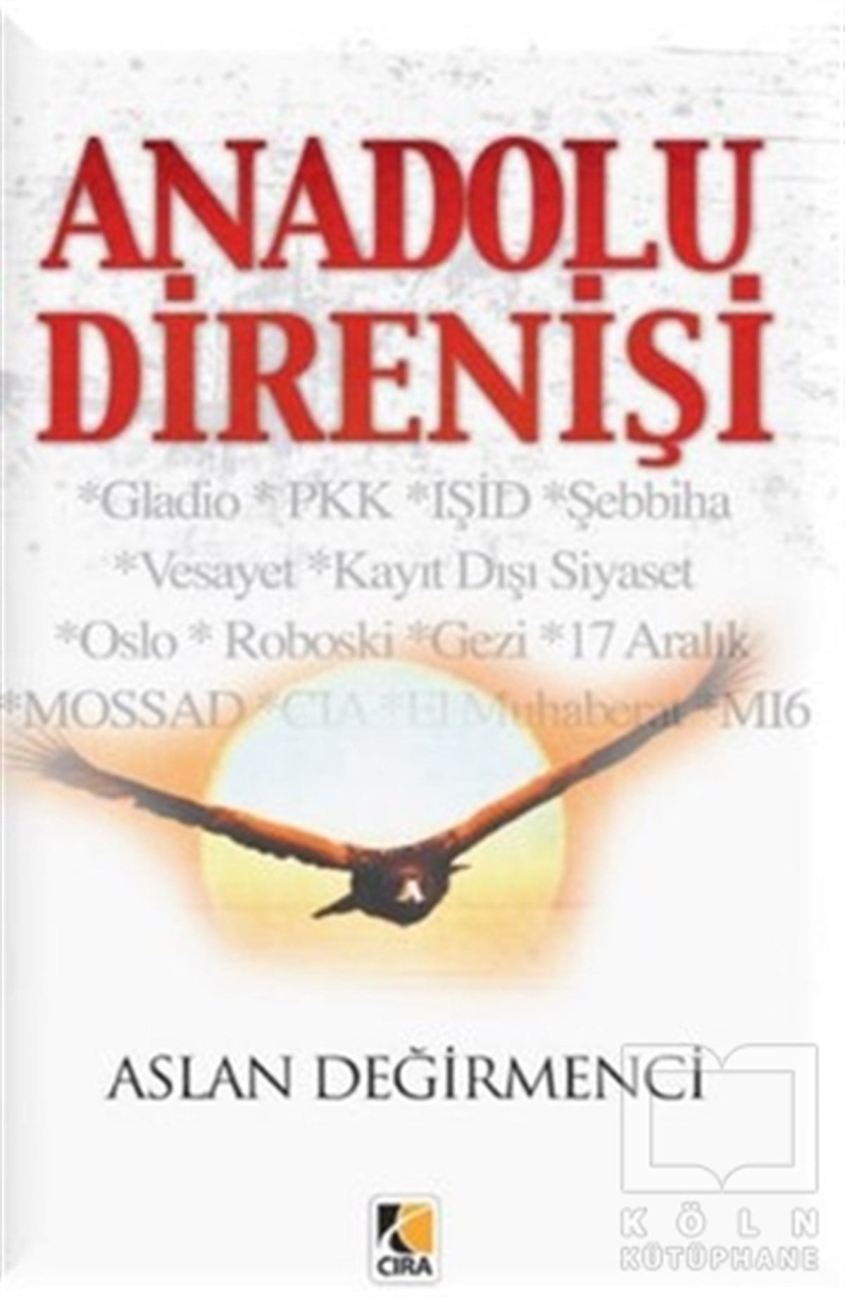 Aslan DeğirmenciTürkiye Siyaseti ve PolitikasıAnadolu Direnişi