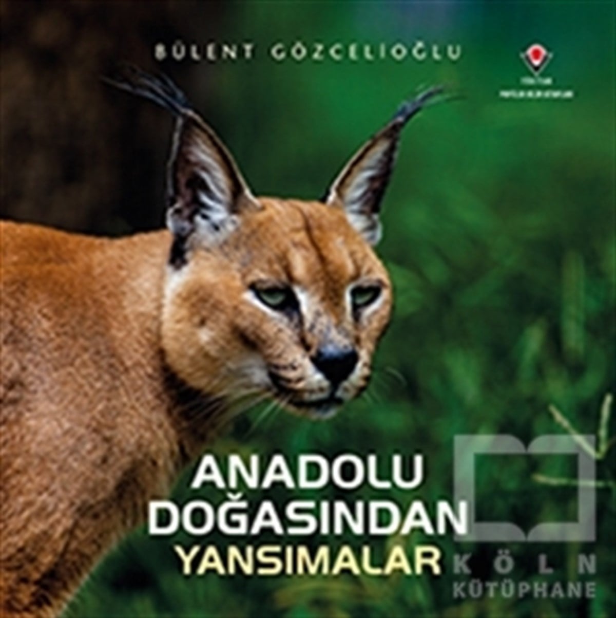 Bülent GözcelioğluPopüler BilimAnadolu Doğasından Yansımalar