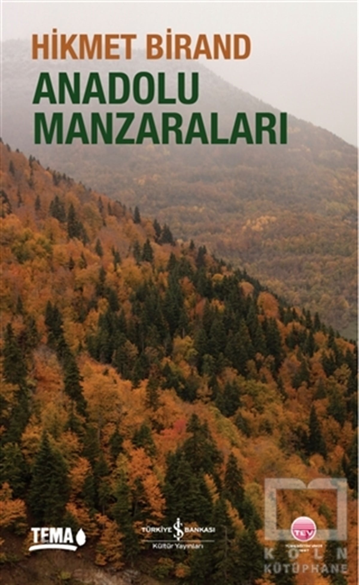 Hikmet BirandDiğerAnadolu Manzaraları