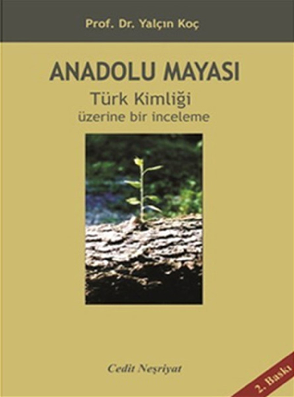 Yalçın KoçTürk Tarihi Araştırmaları KitaplarıAnadolu Mayası