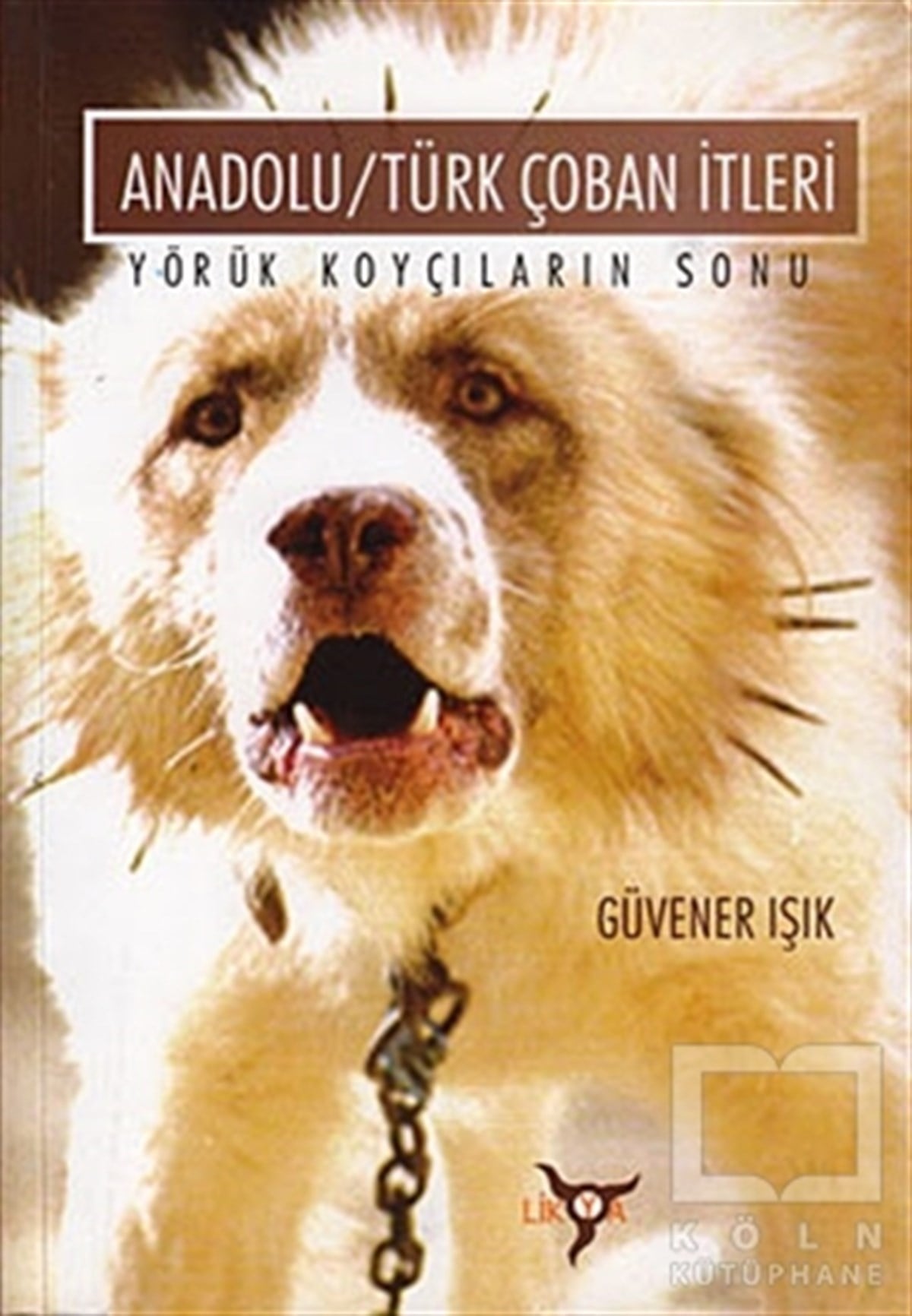 Güvener IşıkAraştırma - İncelemeAnadolu/Türk Çoban İtleri