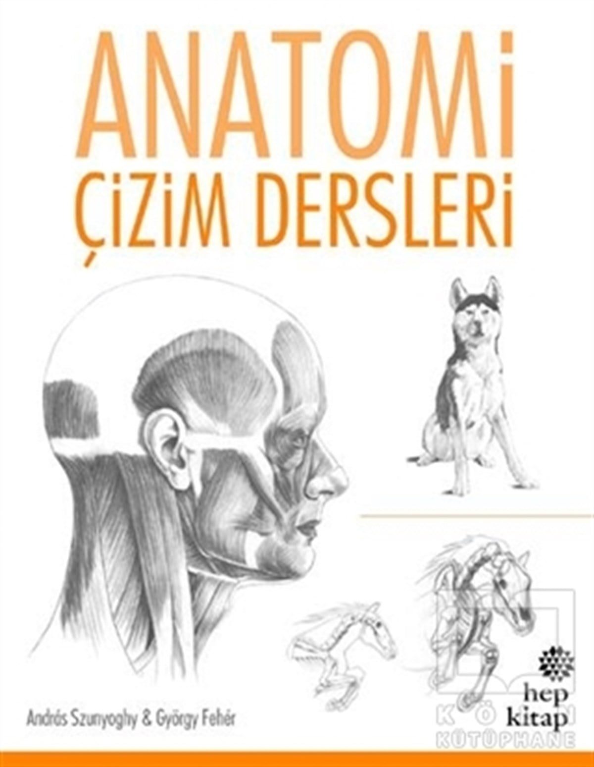 Andras SzunyoghyResimAnatomi Çizim Dersleri