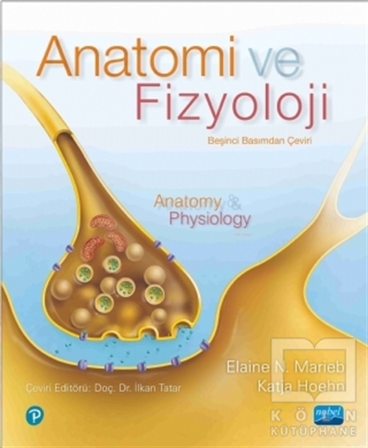 Elaine N. MariebAkademikAnatomi ve Fizyoloji