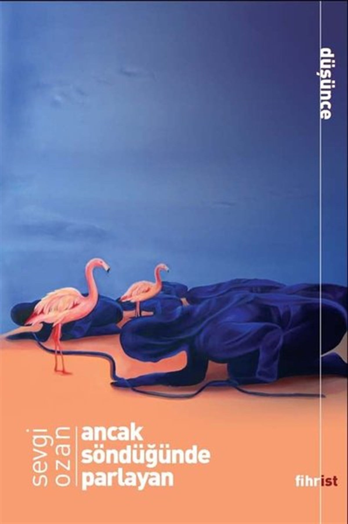 Sevgi OzanFelsefe BilimiAncak Söndüğünde Parlayan