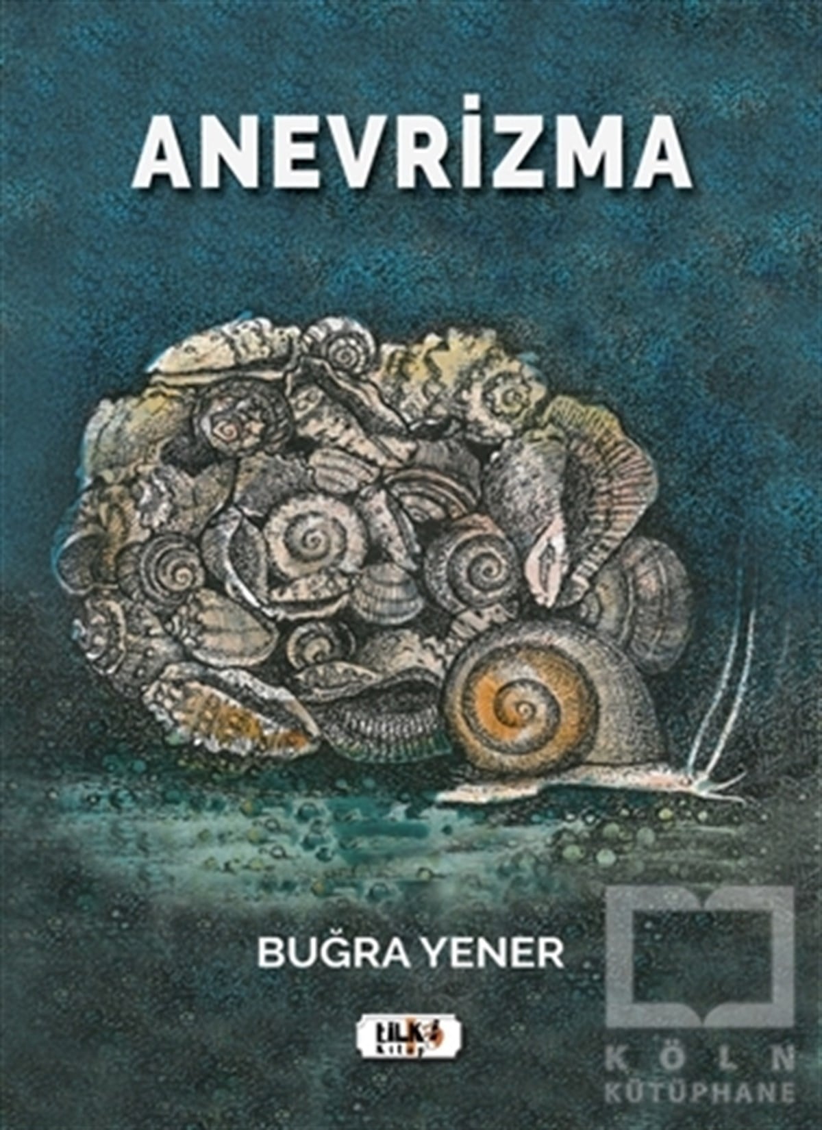 Buğra YenerTürkçe Şiir KitaplarıAnevrizma