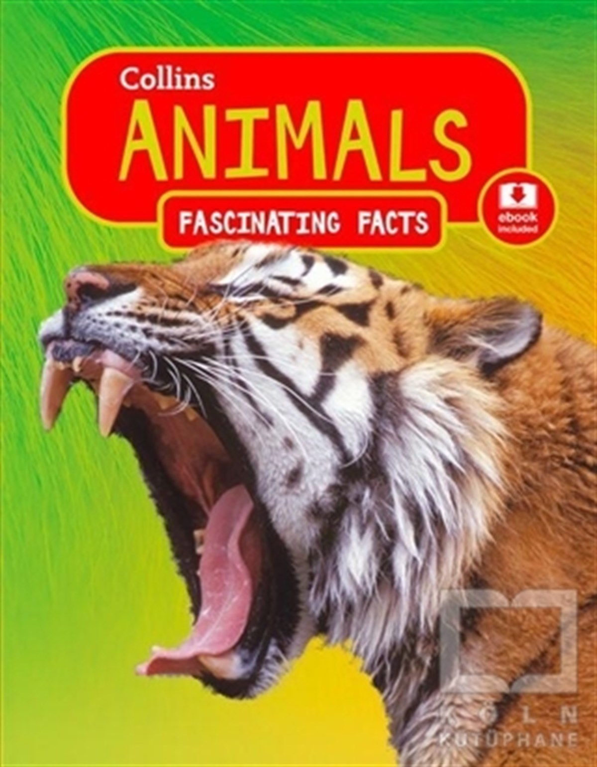 Sally MorganYabancı Dilde KitaplarAnimals - Fascinating Facts (Ebook İncluded)
