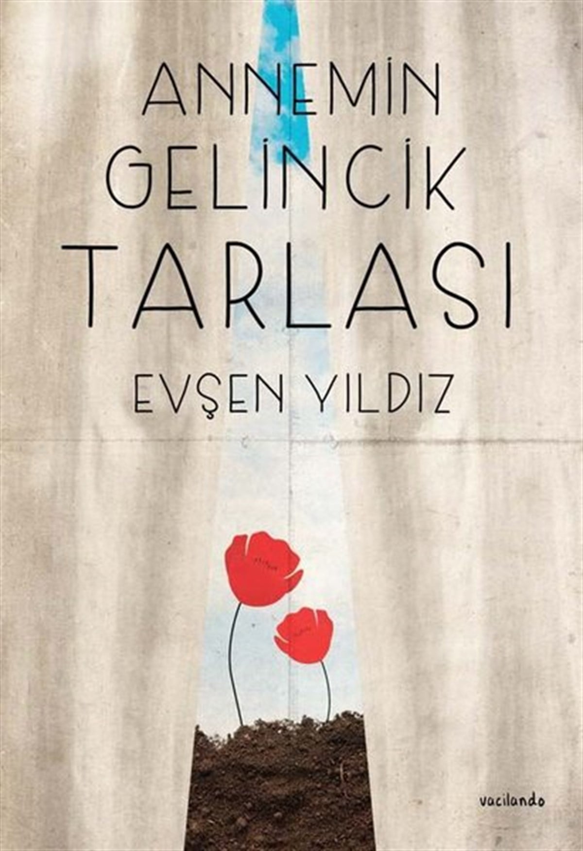 Evşen YıldızTürkiye RomanAnnemin Gelincik Tarlası