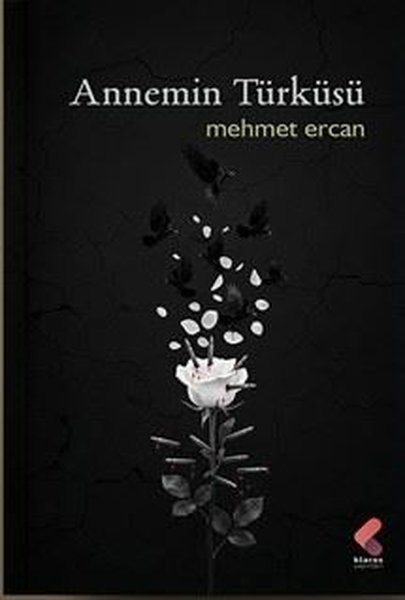 Mehmet ErcanTürk ŞiiriAnnemin Türküsü