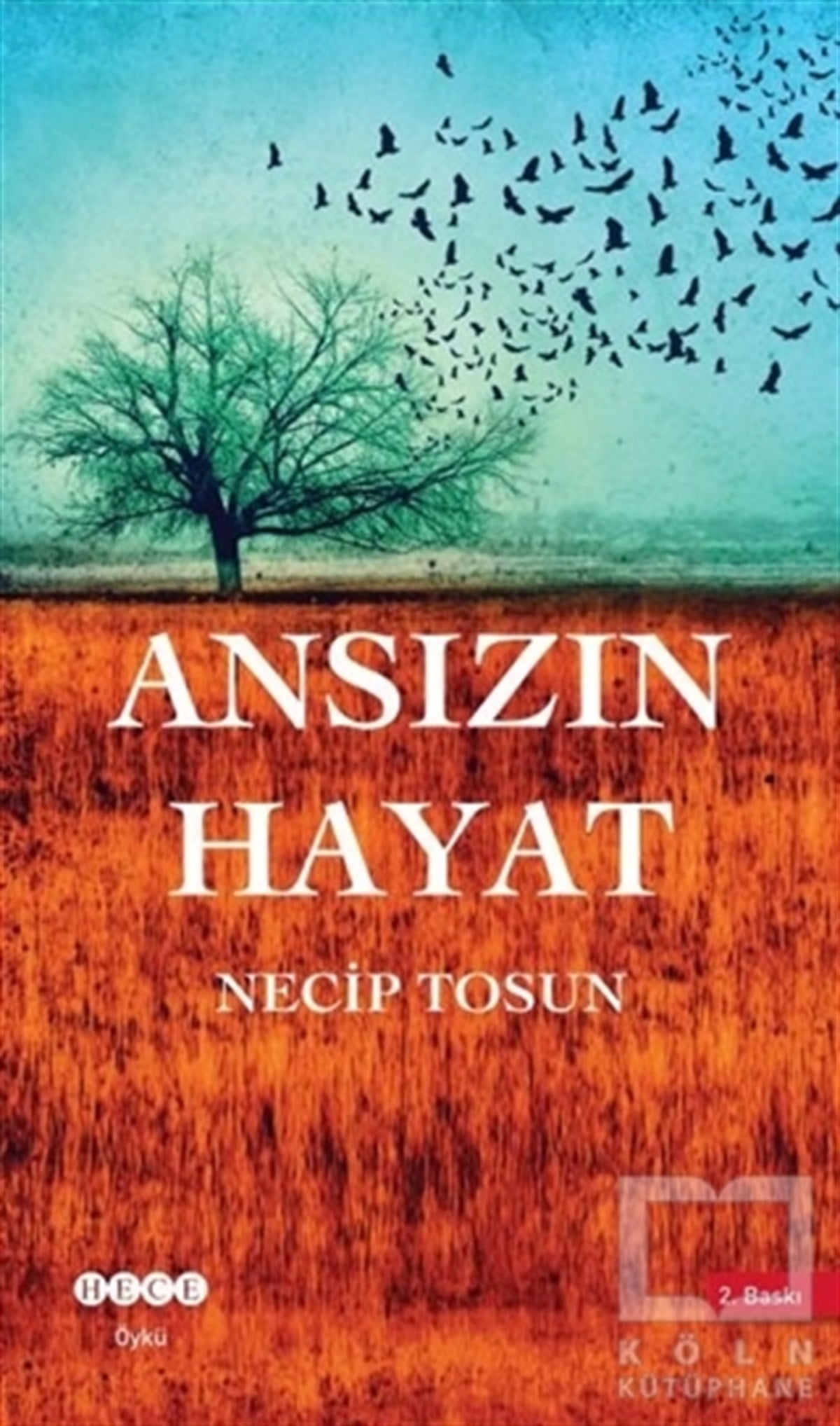 Necip TosunÖyküAnsızın Hayat