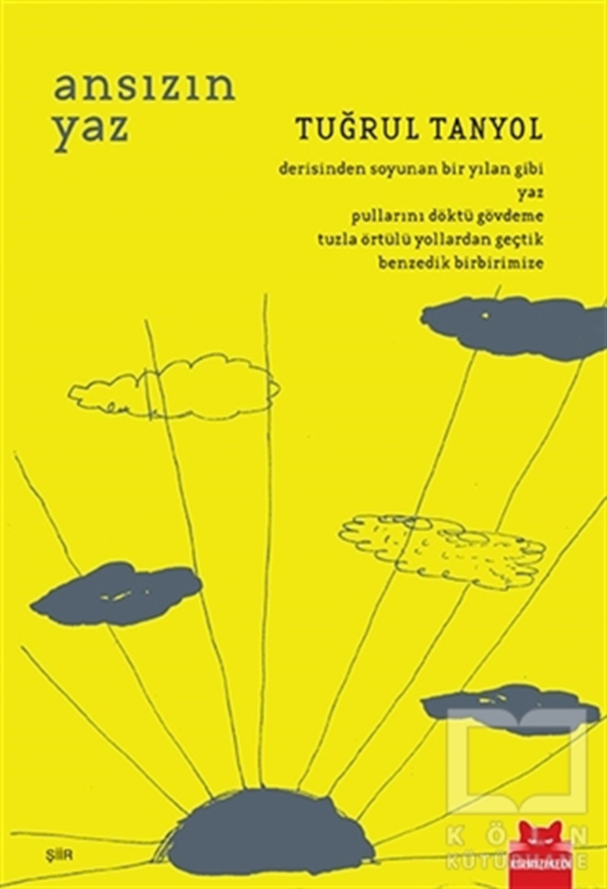 Tuğrul TanyolŞiirAnsızın Yaz