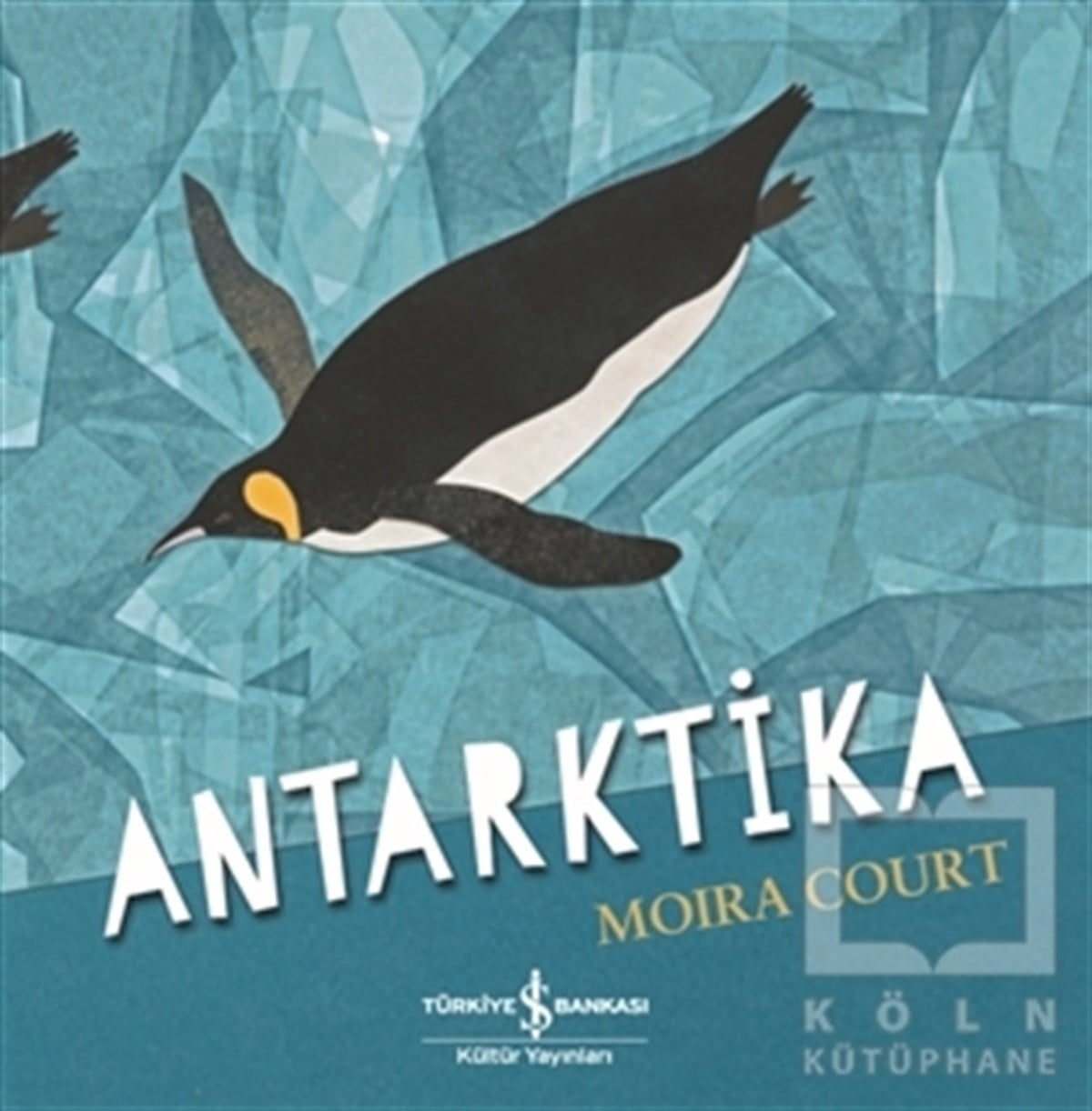 Moira CourtOkul Öncesi Çocuk KitaplarıAntarktika