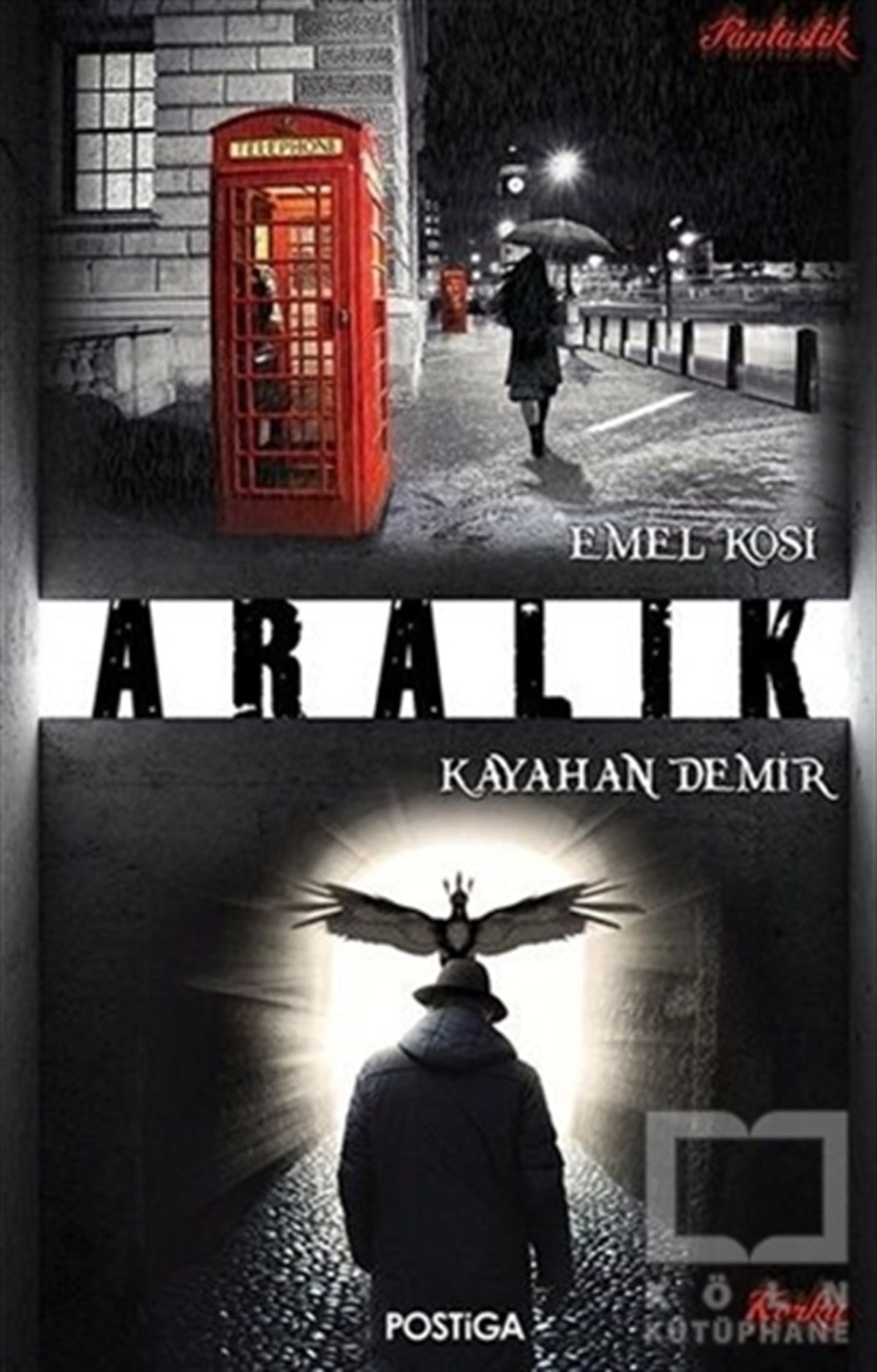 Emel KosiFantastikAralık