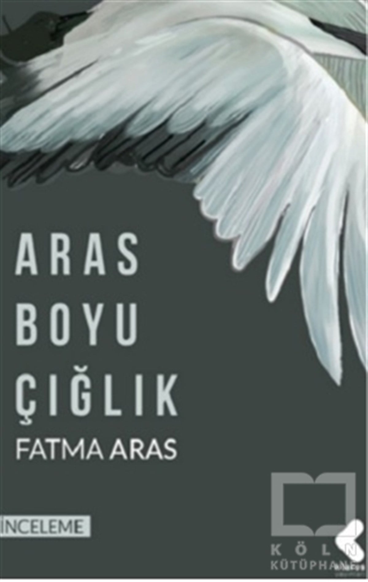 Fatma ArasAraştırma-İnceleme-ReferansAras Boyu Çığlık