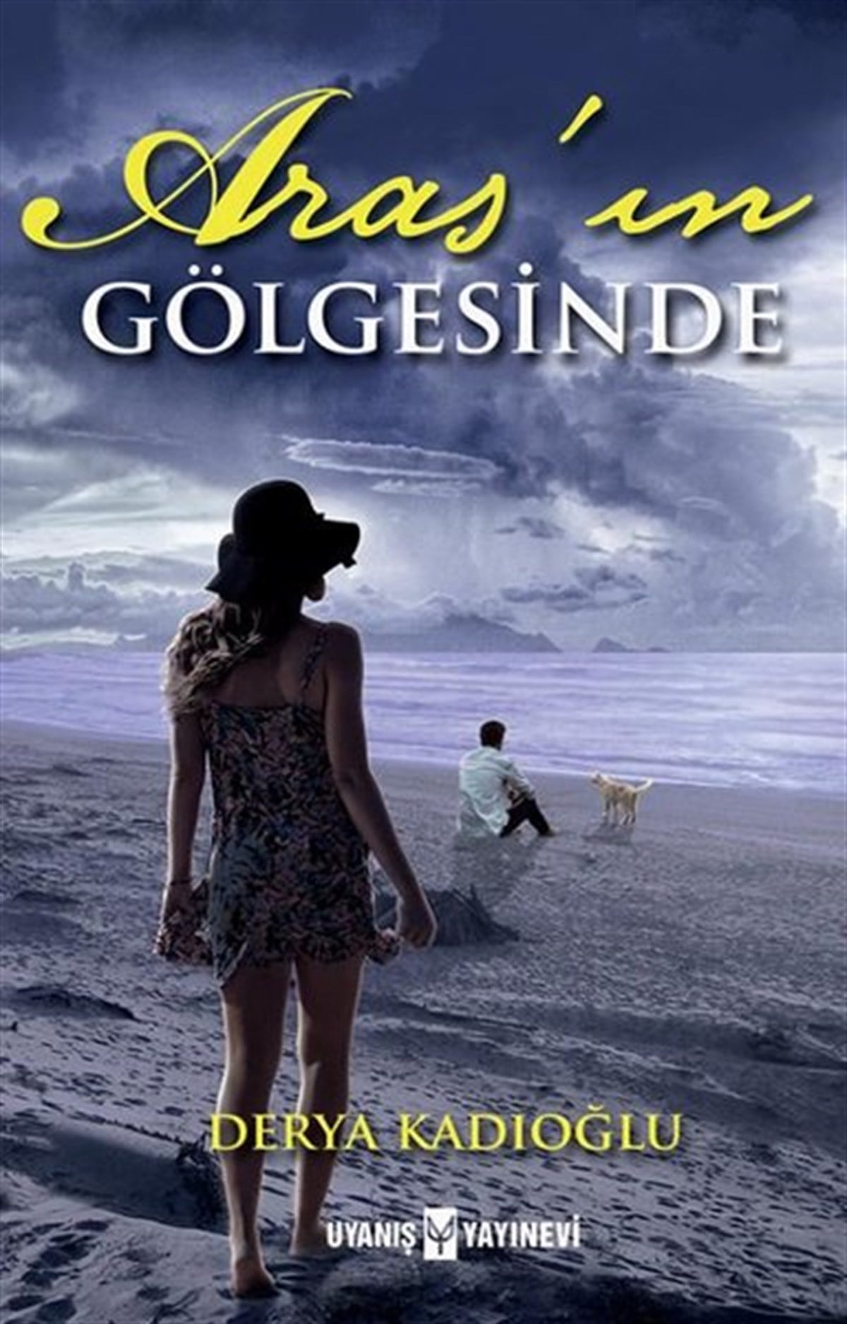 Derya KadıoğluTürkiye RomanAras'ın Gölgesinde