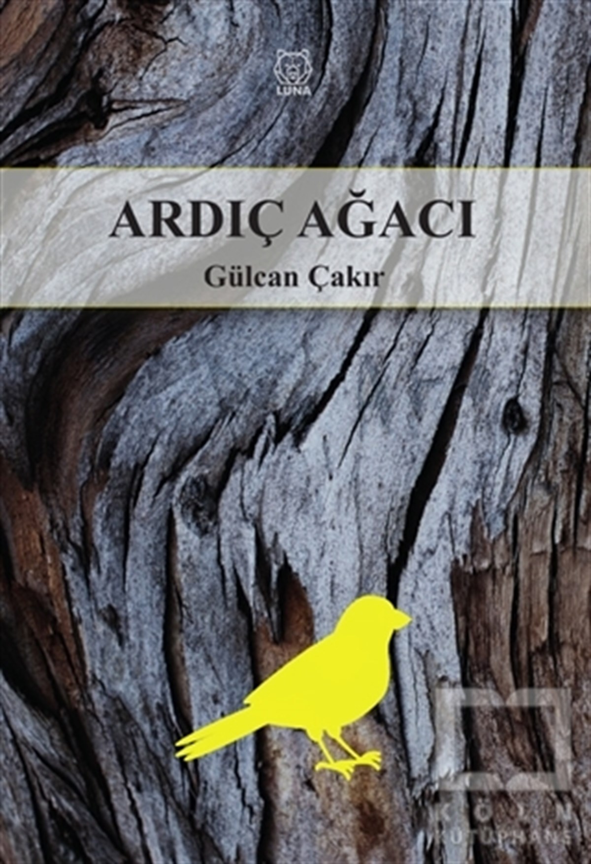 Gülcan ÇakırTürkçe Şiir KitaplarıArdıç Ağacı