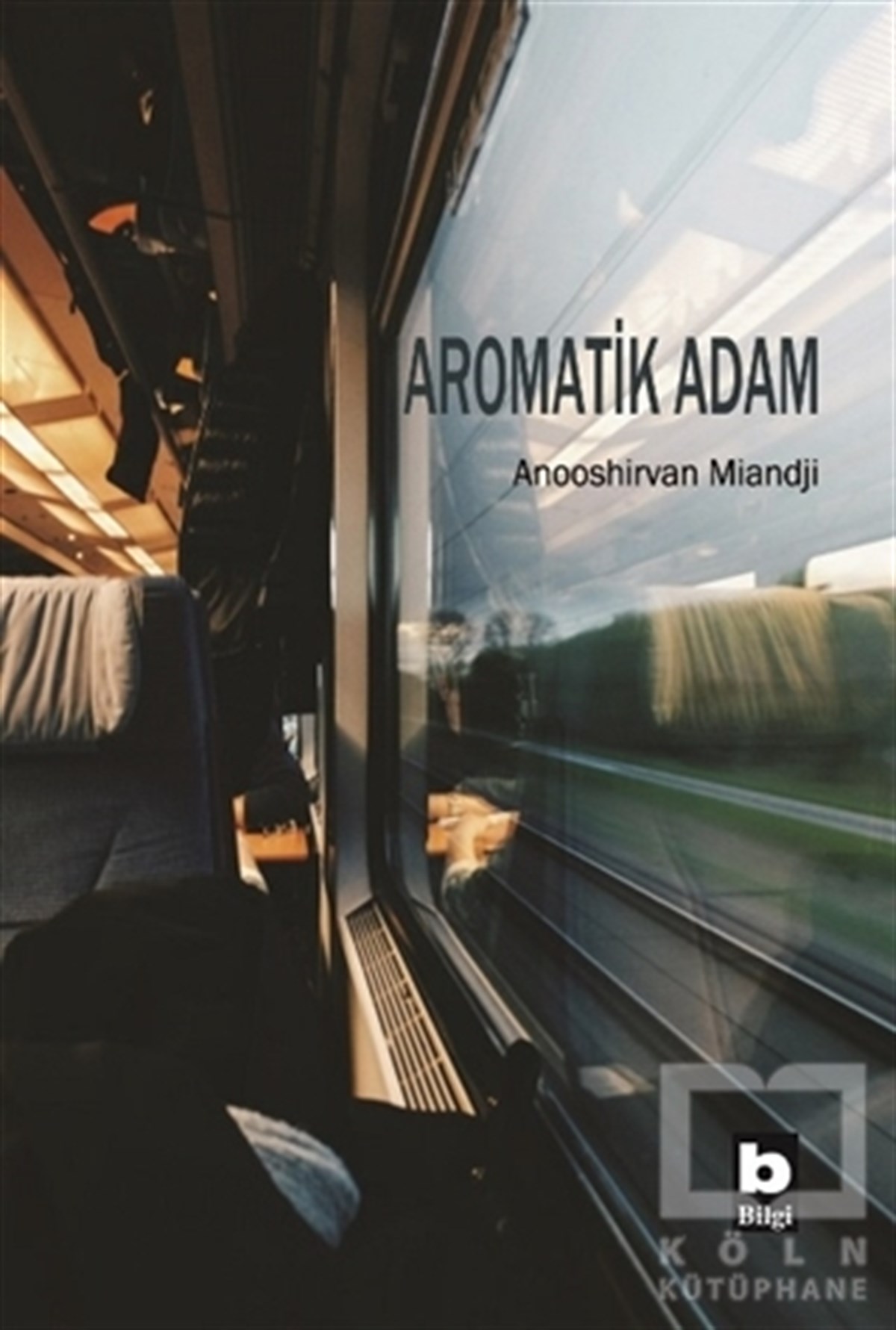 Anooshirvan MiandjiTürkçe RomanlarAromatik Adam