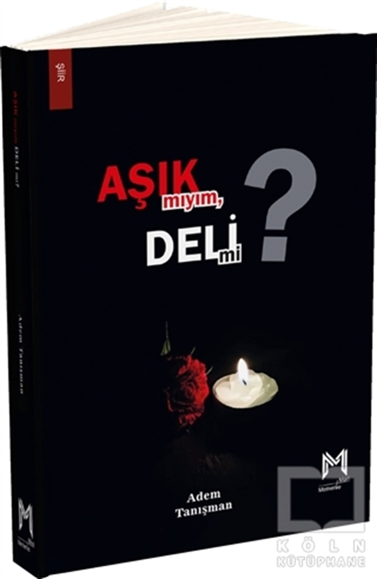 Adem TanışmanTürkçe Şiir KitaplarıAşık mıyım Deli mi?