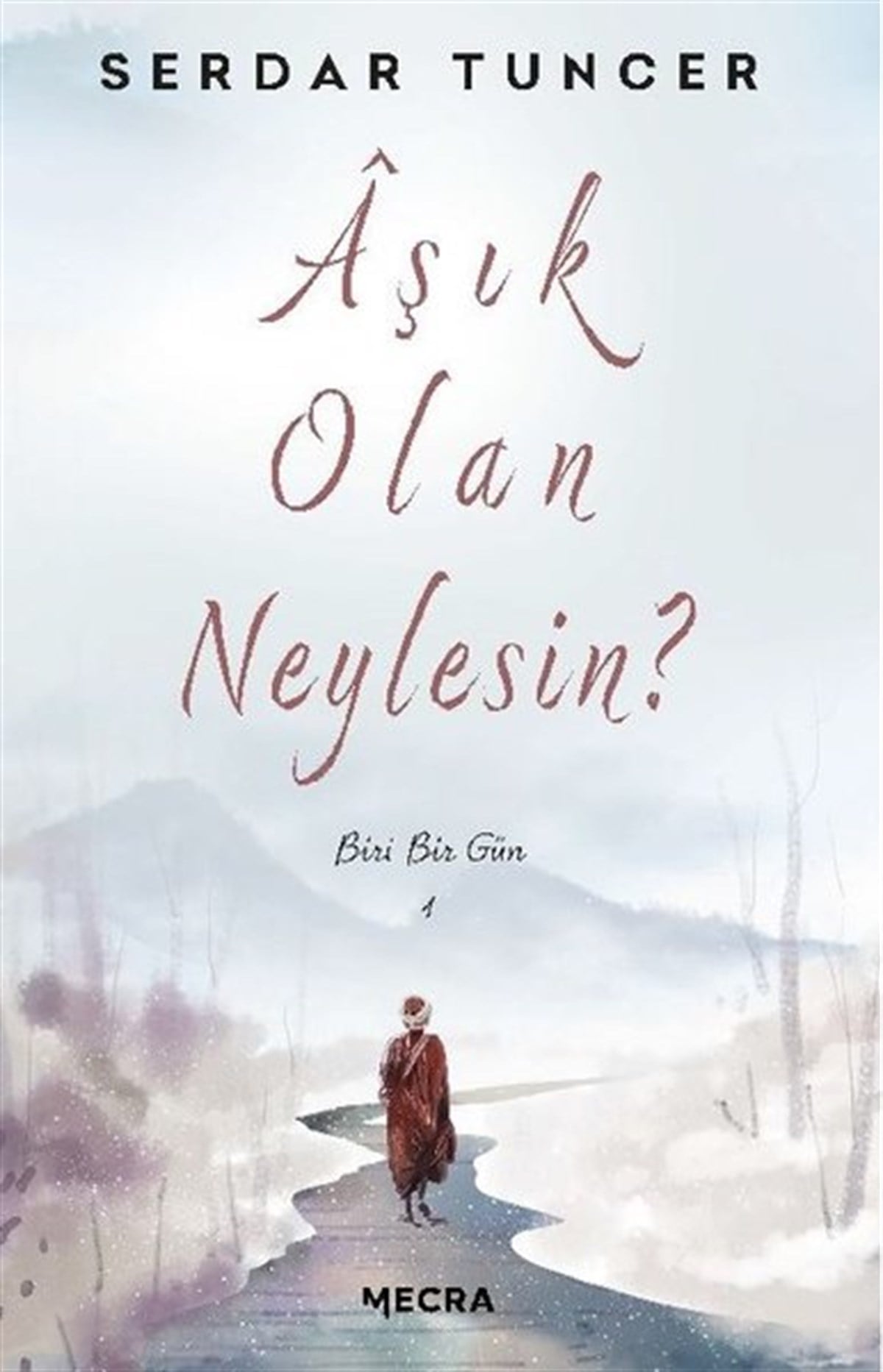 Serdar TuncerTürkiye RomanAşık Olan Neylesin? - Biri Bir Gün
