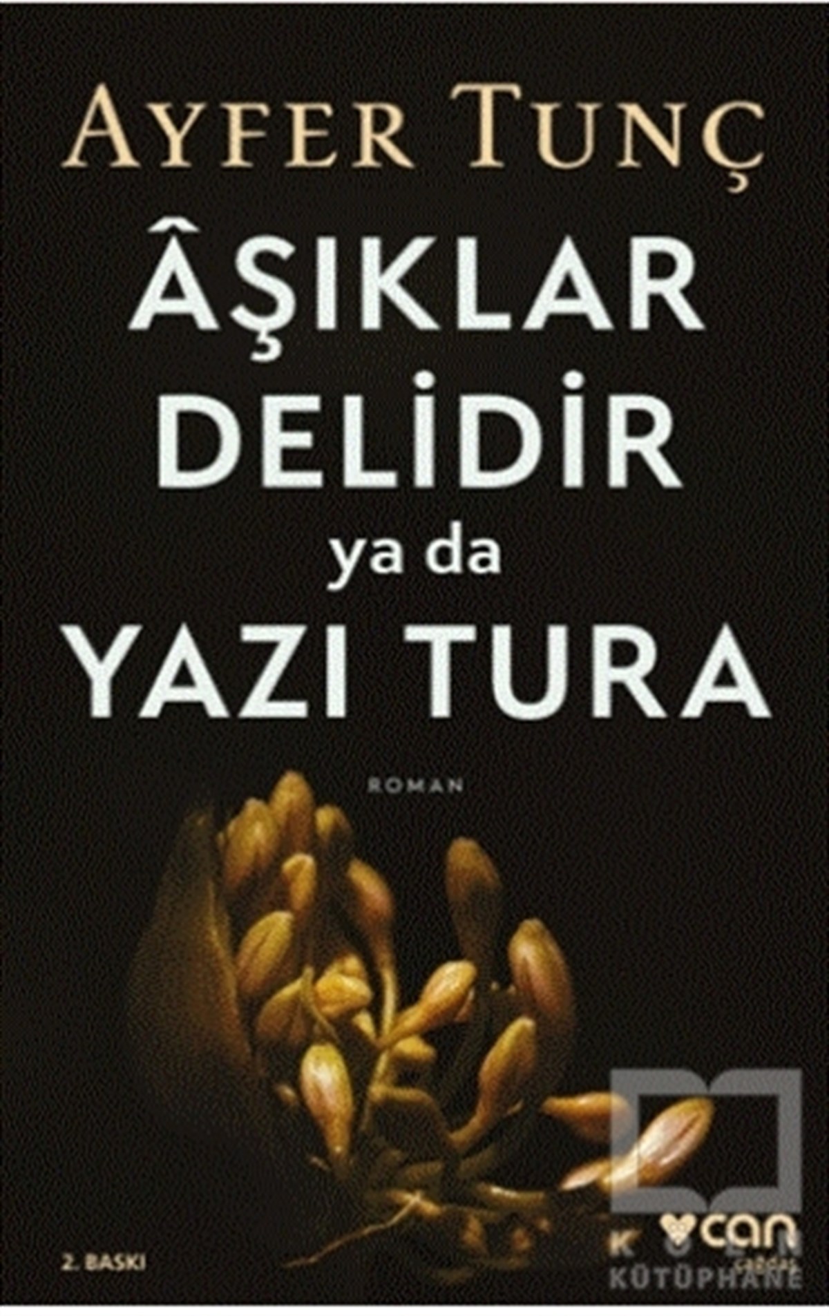 Ayfer TunçTürkçe RomanlarAşıklar Delidir Ya Da Yazı Tura