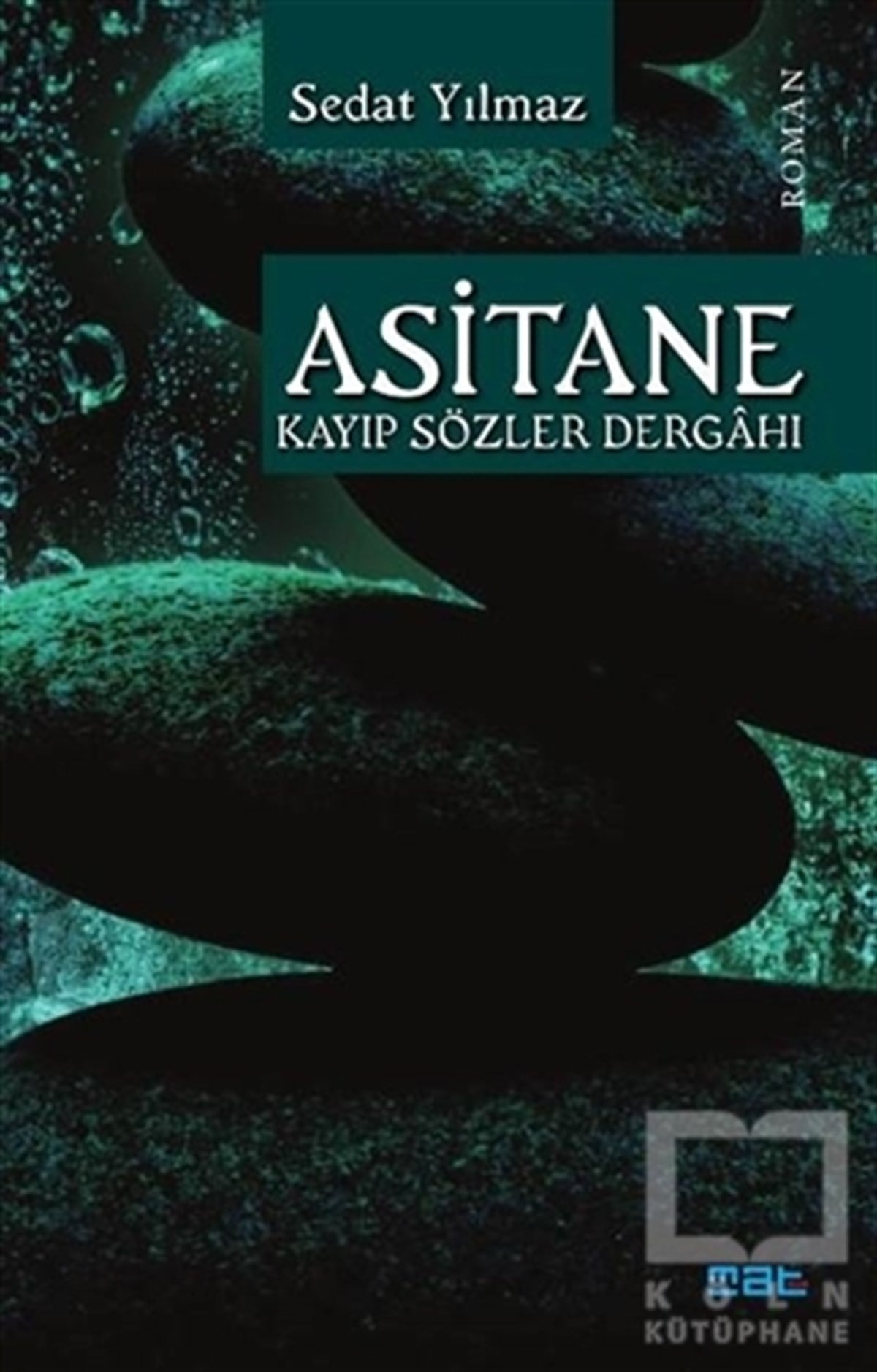 Sedat YılmazRomanAsitane