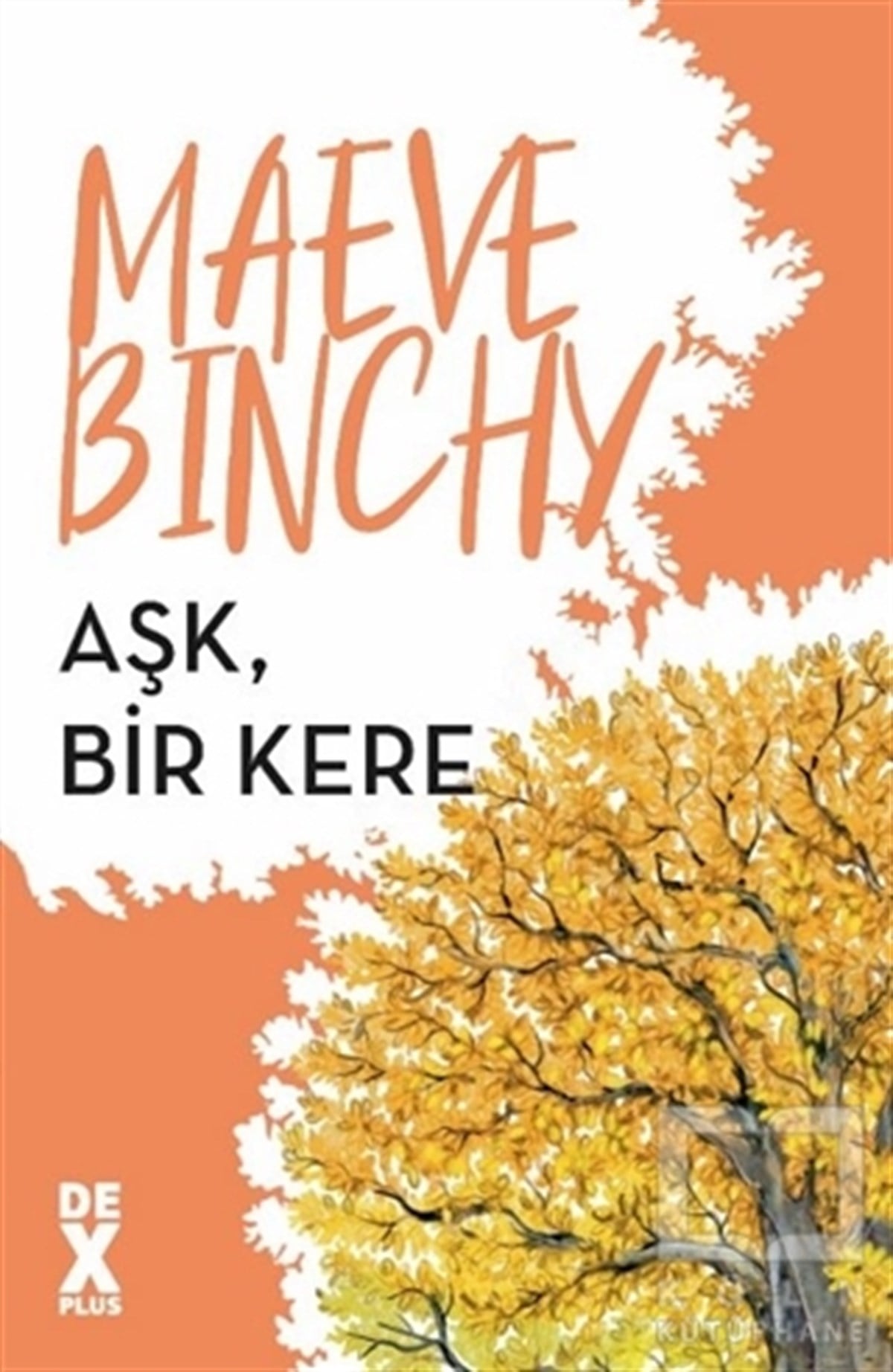 Maeve BinchyAşk Kitapları & Aşk RomanlarıAşk Bir Kere