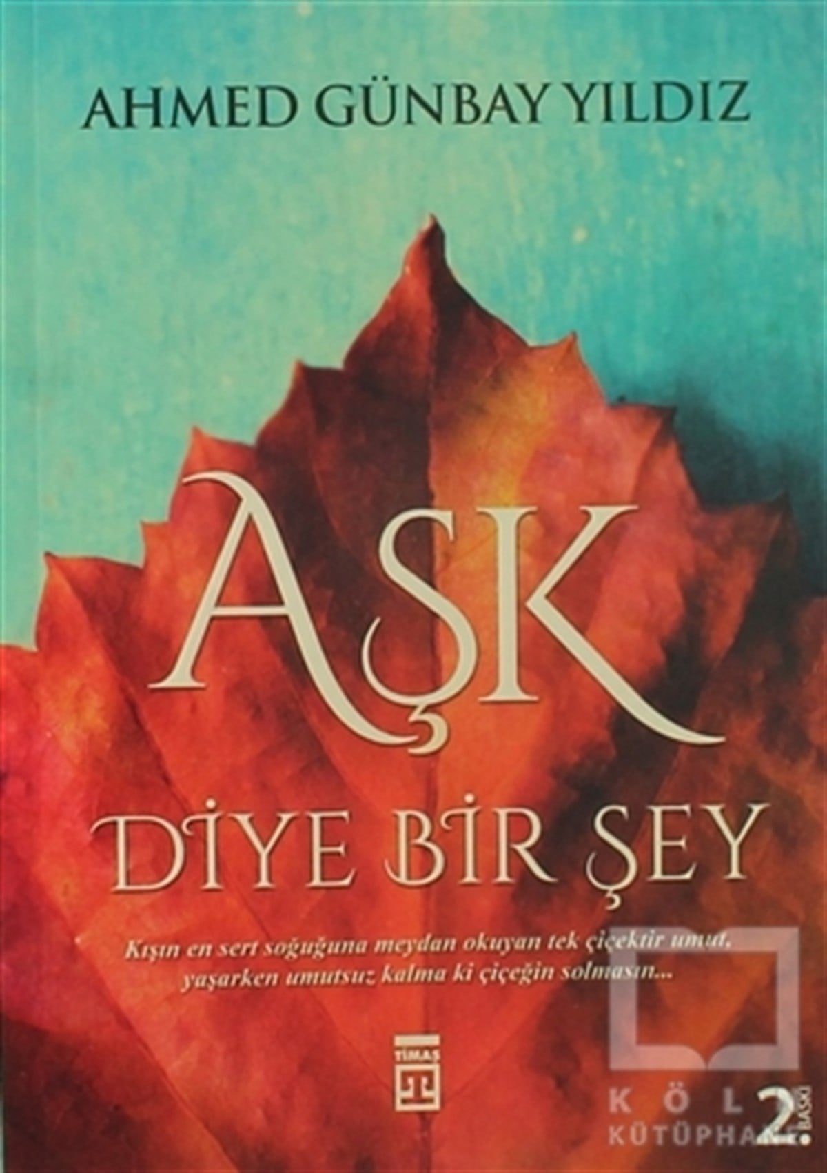 Ahmed Günbay YıldızDenemeAşk Diye Bir Şey