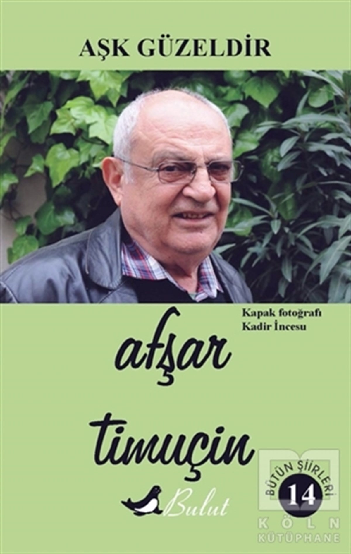 Afşar TimuçinŞiirAşk Güzeldir