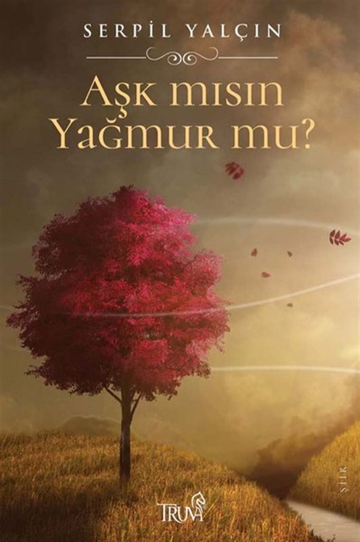 Serpil YalçınTürk ŞiiriAşk mısın Yağmur mu?