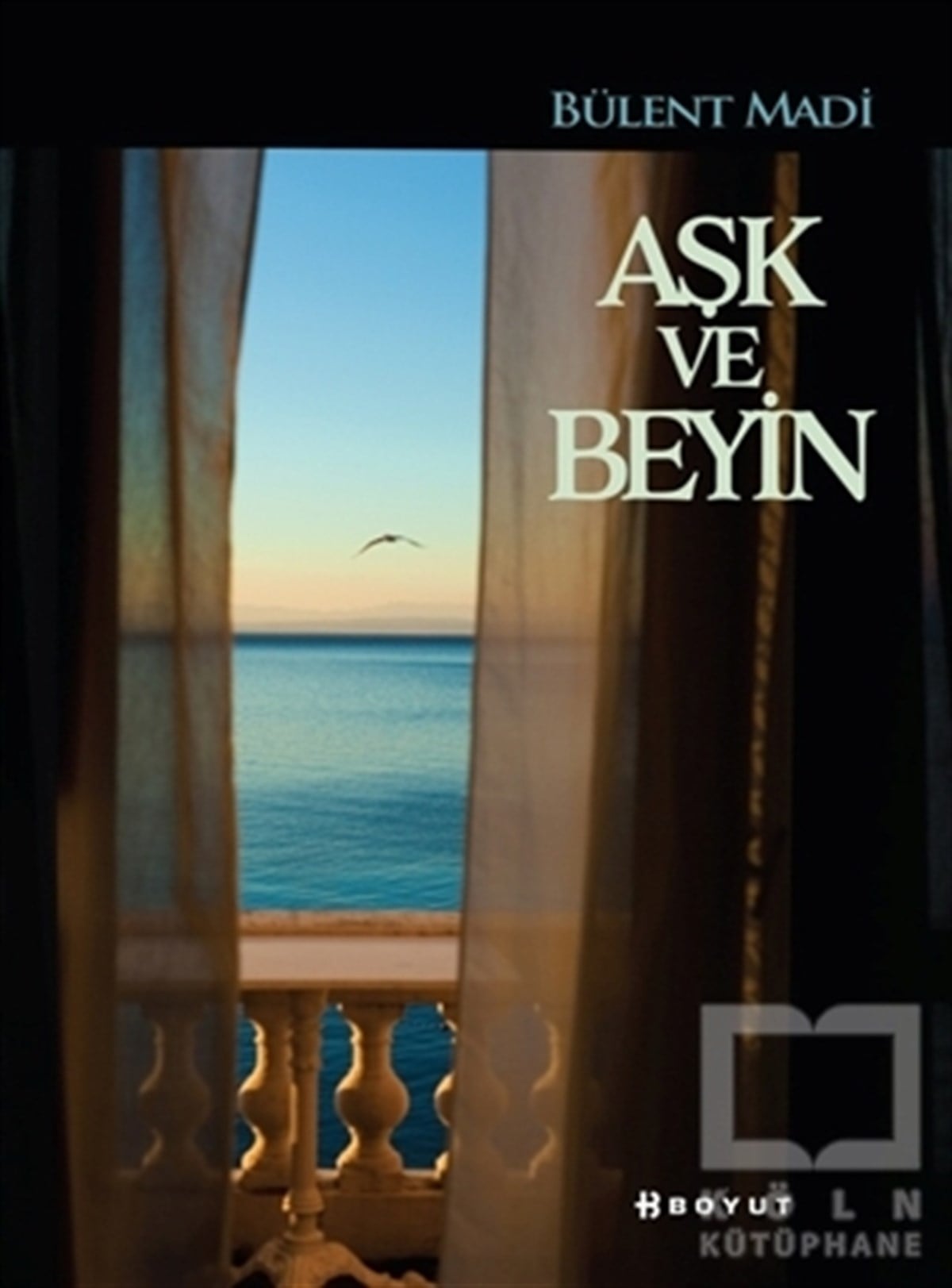 Bülent MadiKişisel Gelişim KitaplarıAşk ve Beyin