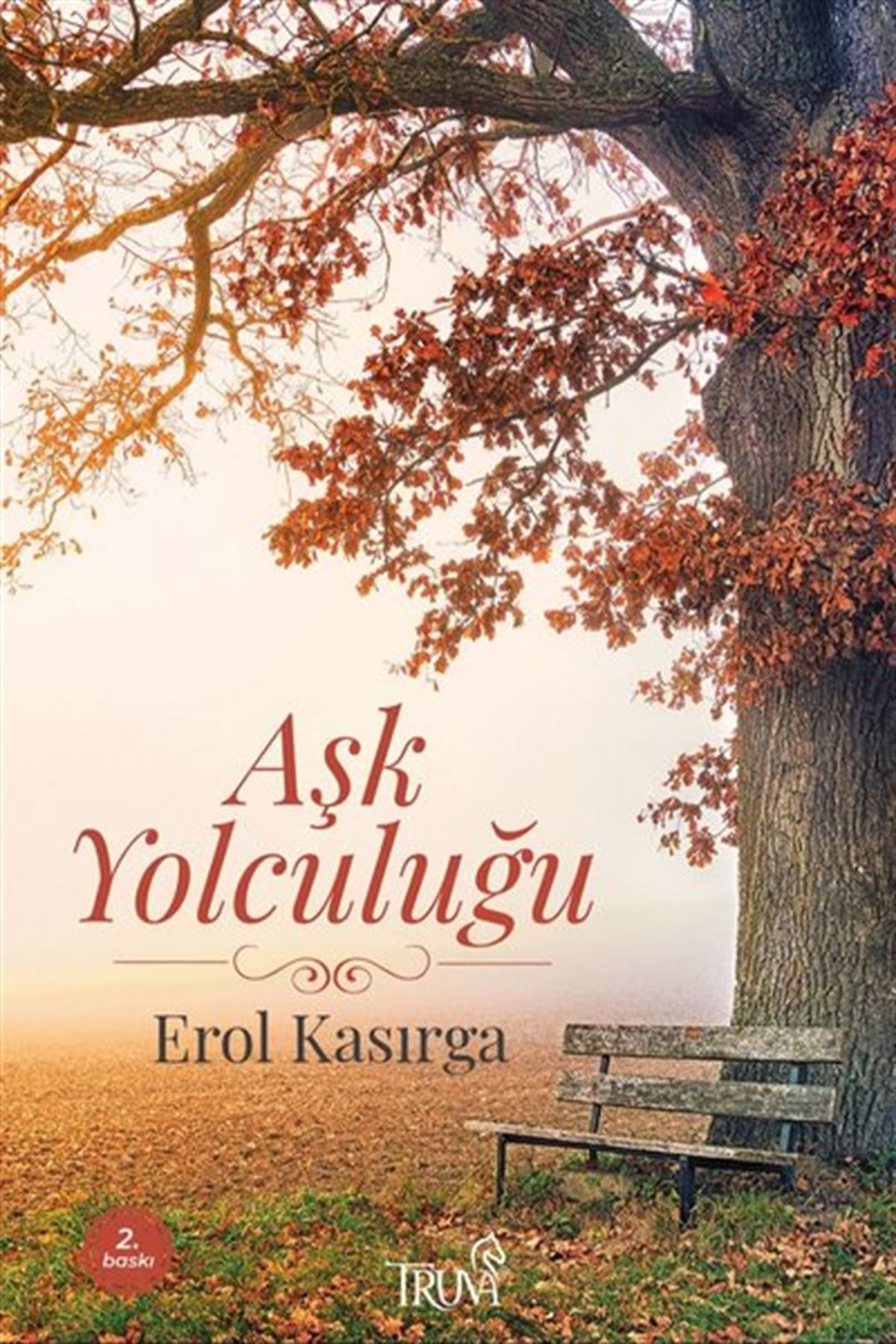 Erol KasırgaTürkiye RomanAşk Yolculuğu