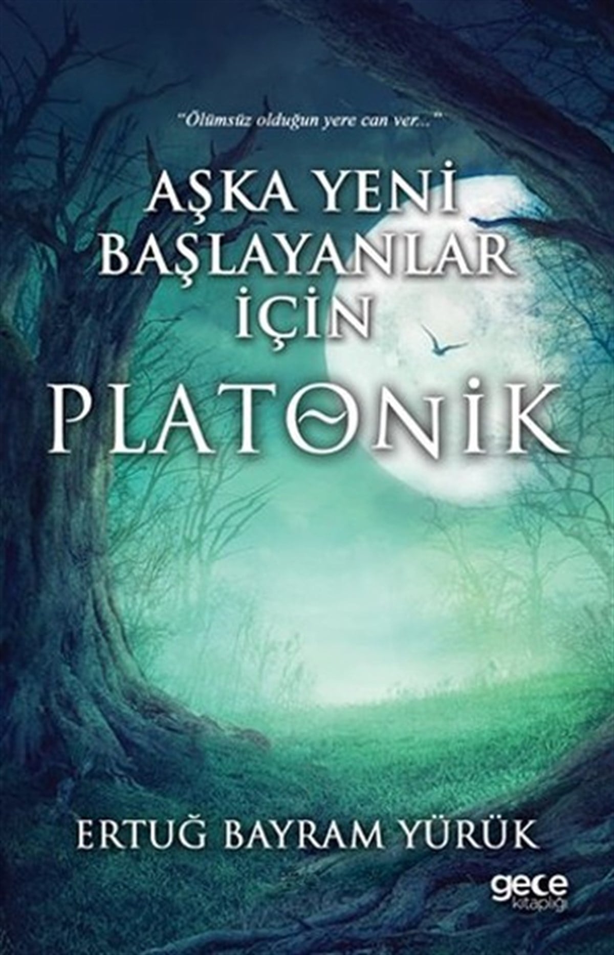 Ertuğ Bayram YürükDeneme KitaplarıAşka Yeni Başlayanlar İçin Platonik