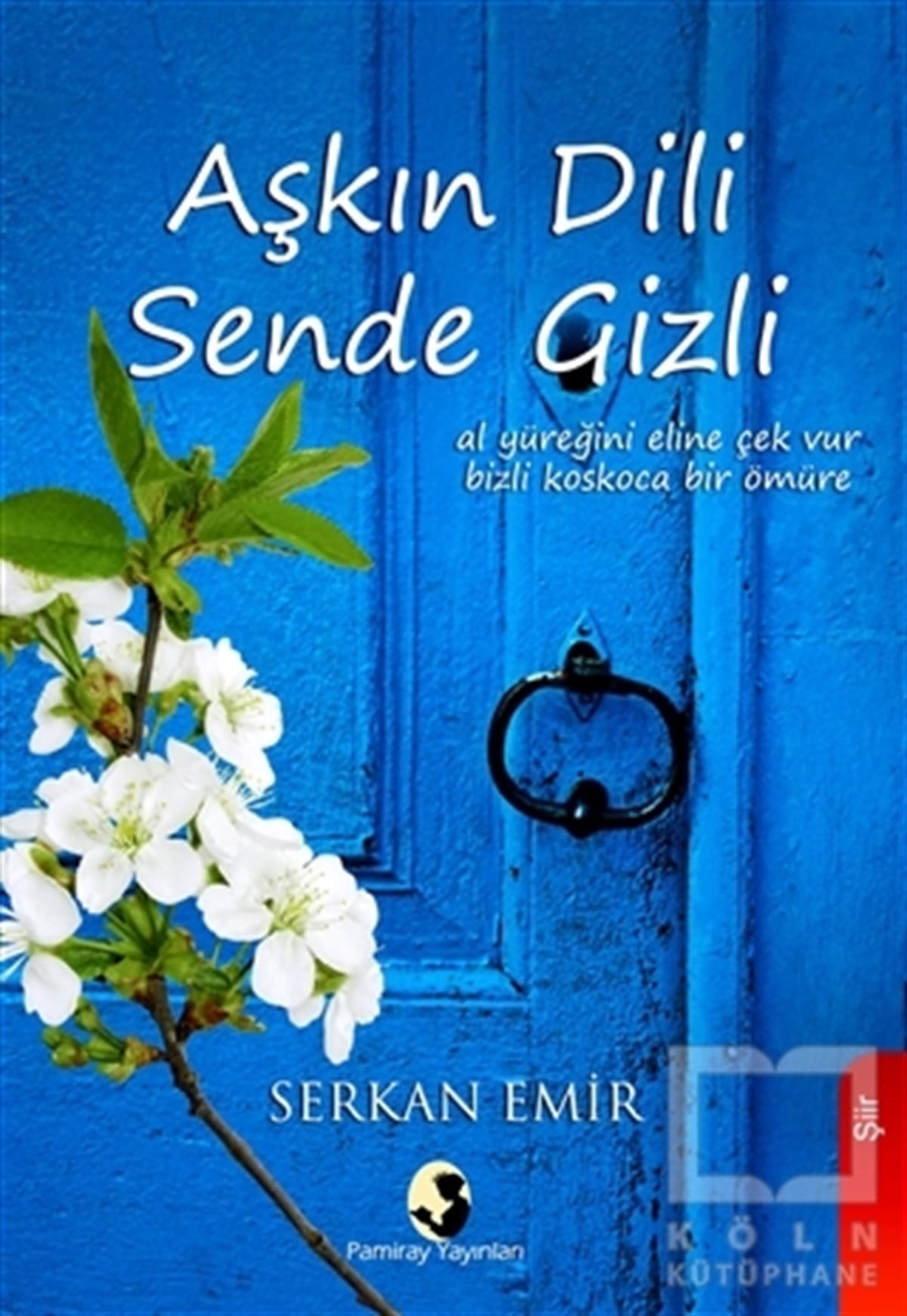 Serkan EmirŞiirAşkın Dili Sende Gizli