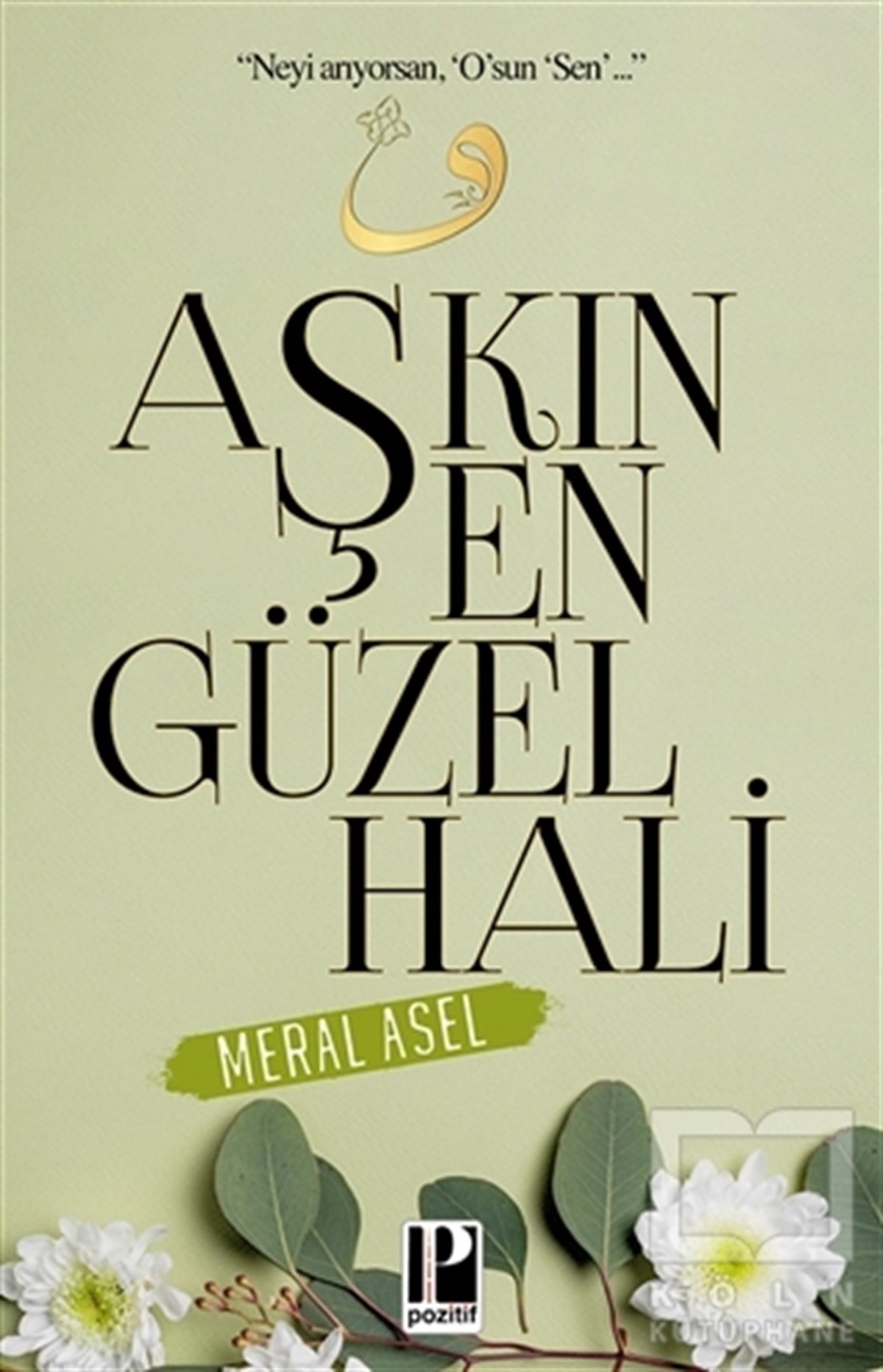 Meral AselŞiirAşkın En Güzel Hali