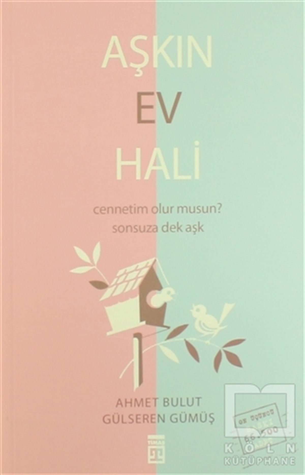 Ahmet BulutDiğerAşkın Ev Hali