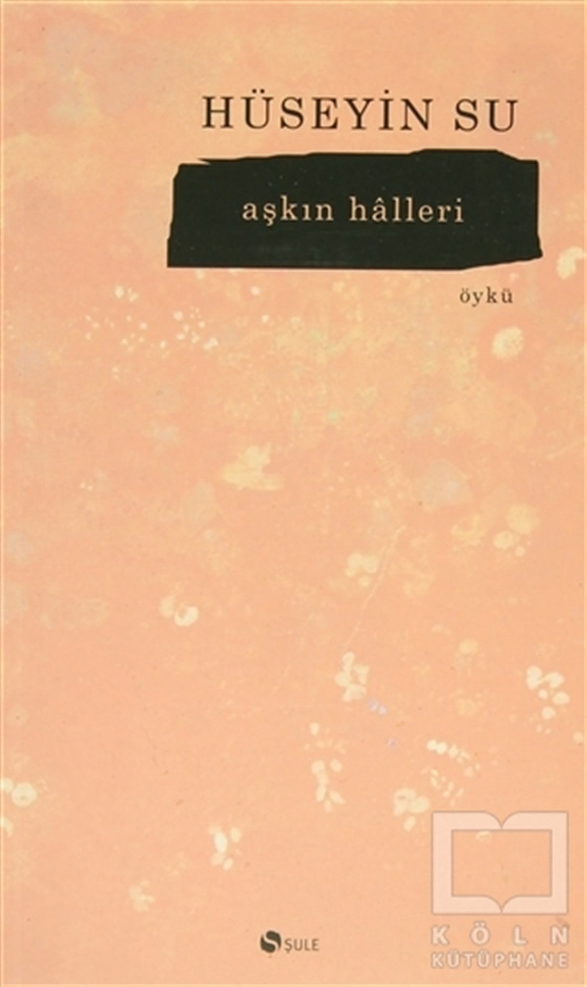 Hüseyin SuAşkAşkın Halleri