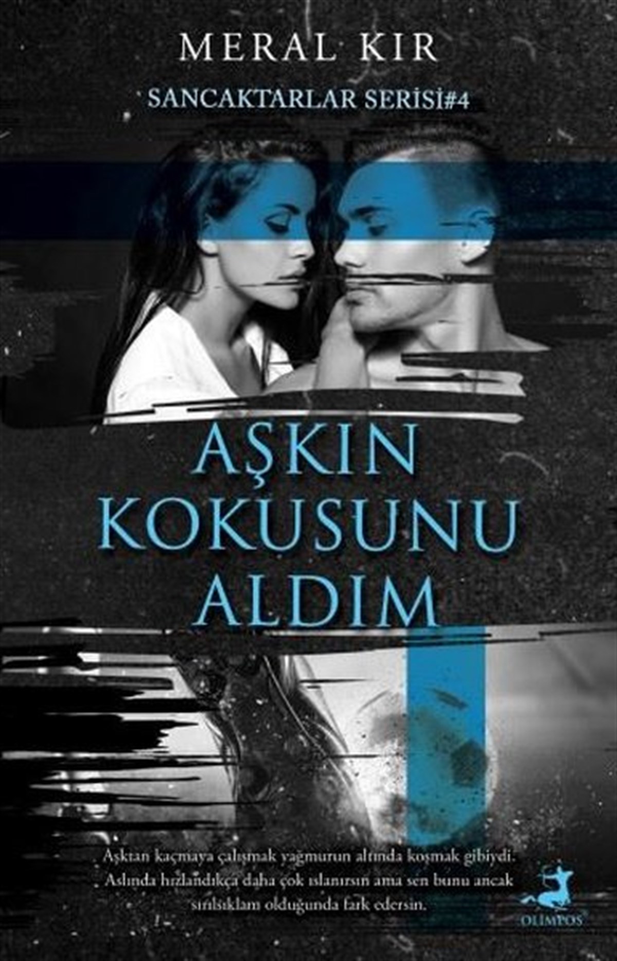 Meral KırTürkiye RomanAşkın Kokusunu Aldım - Sancaktarlar Serisi 4