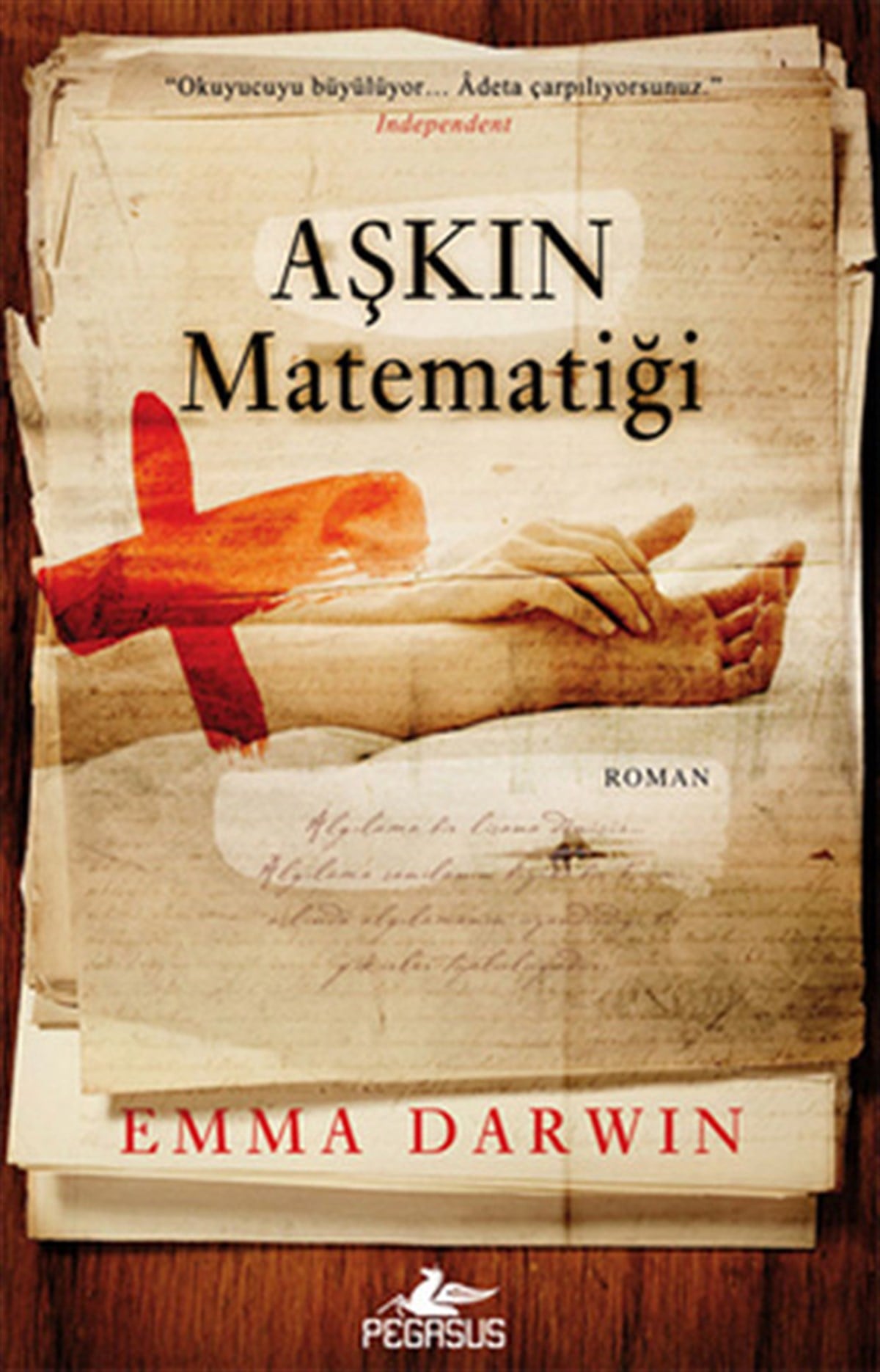 Emma DarwinDünya RomanAşkın Matematiği