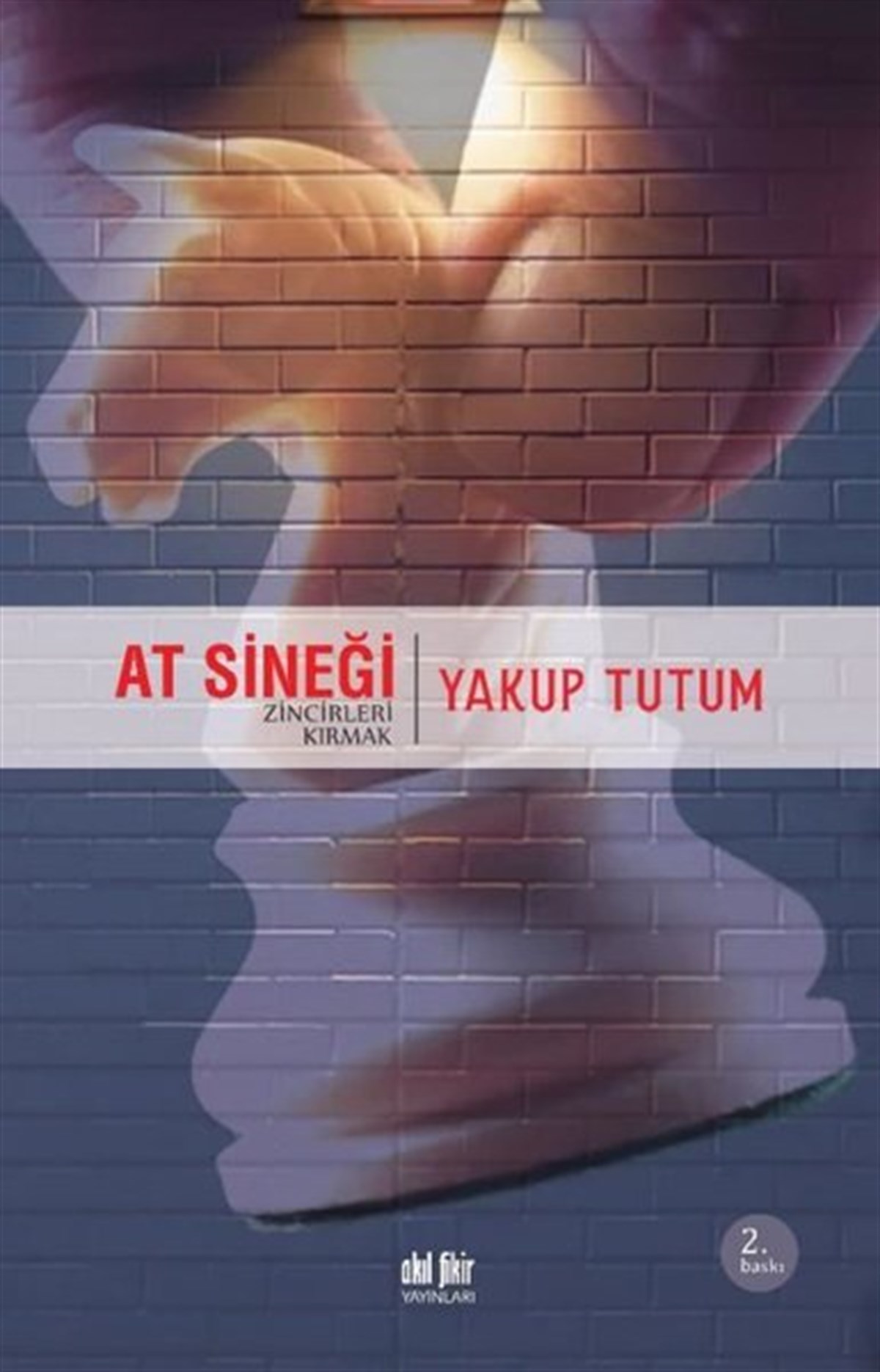 Yakup TutumDeneme KitaplarıAt Sineği - Zincirleri Kırmak