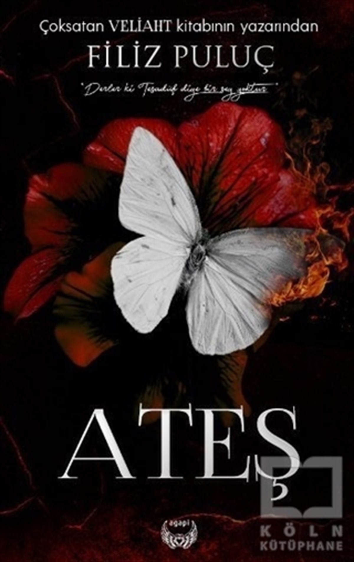 Filiz PuluçRomanAteş