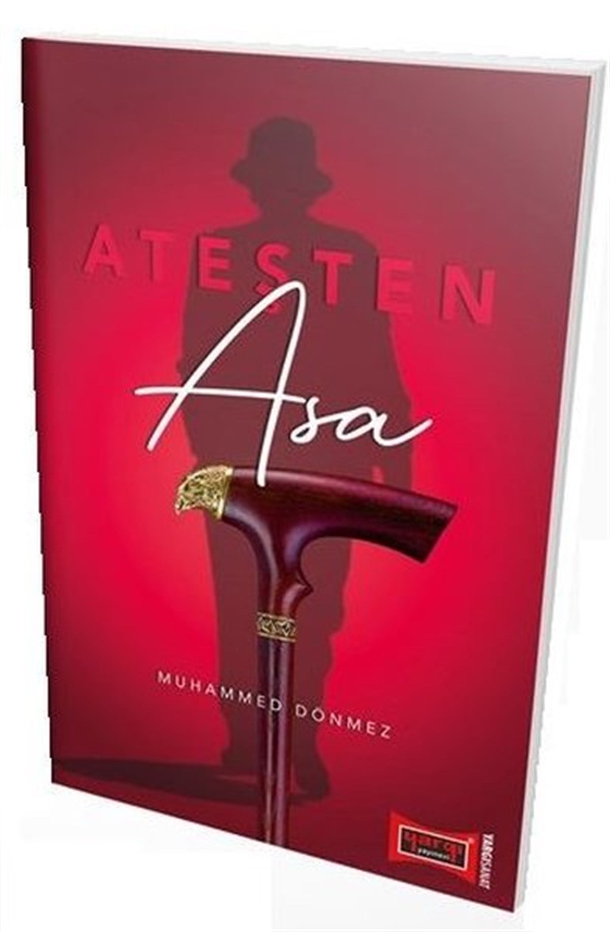Muhammed DönmezTürkiye RomanAteşten Asa