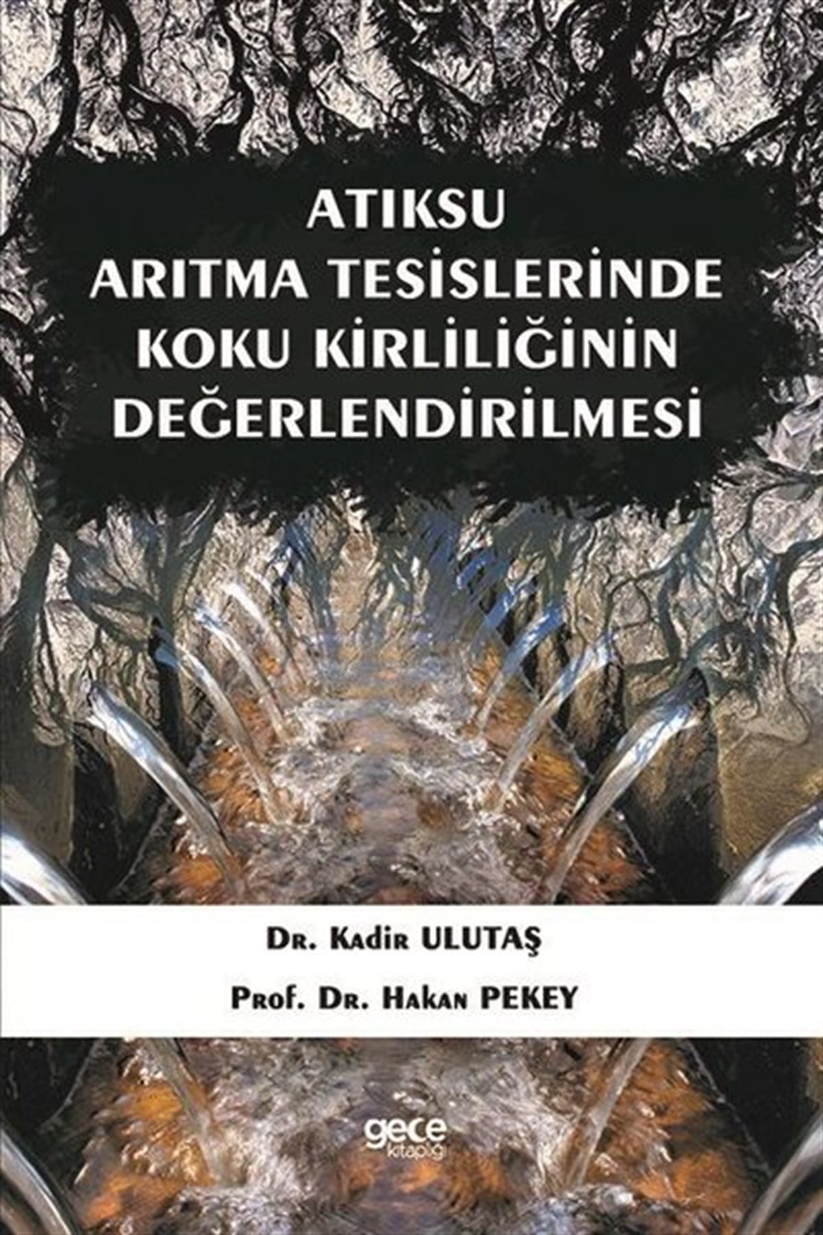 Hakan PekeyEğitimAtıksu Arıtma Tesislerinde Koku Kirliliğinin Değerlendirilmesi