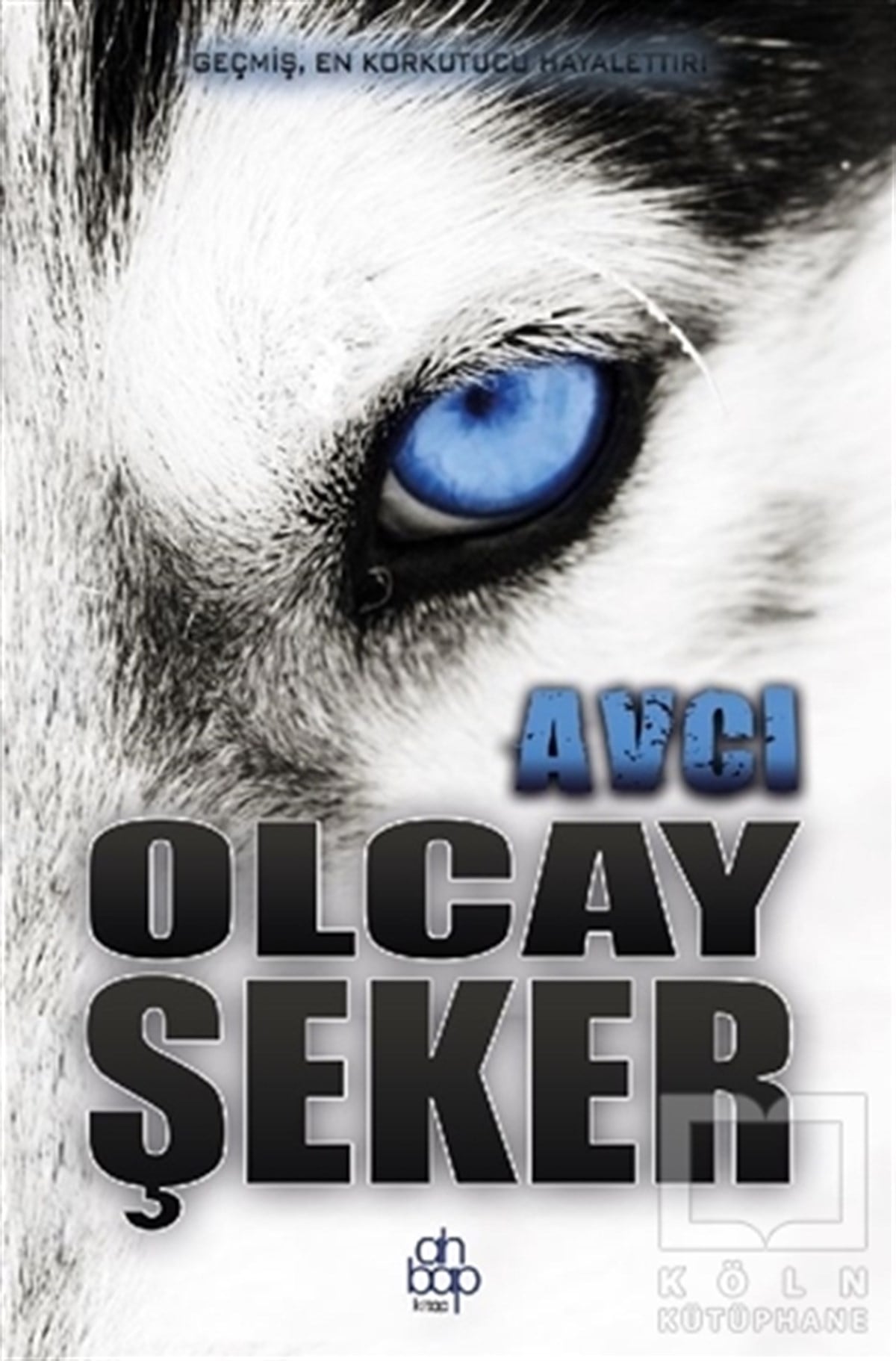 Olcay ŞekerTürkçe RomanlarAvcı