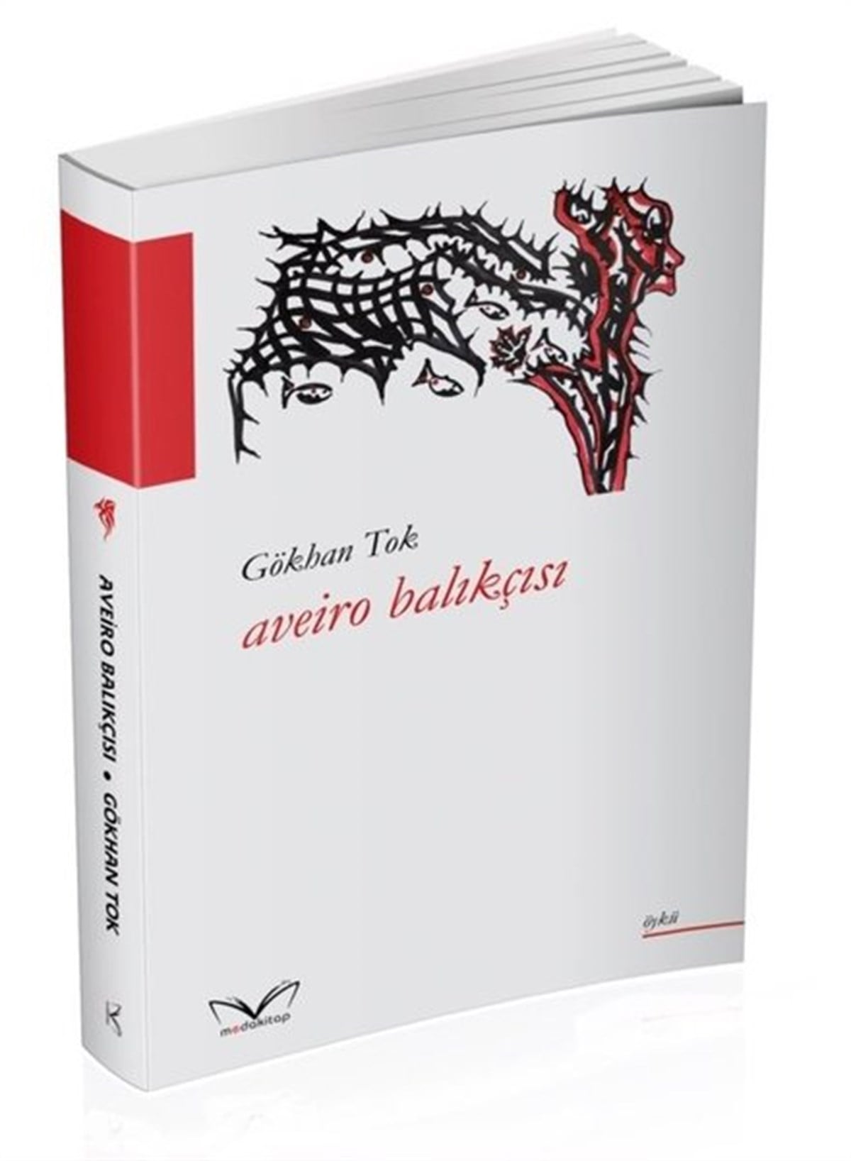 Gökhan TokTürkiye RomanAveiro Balıkçısı