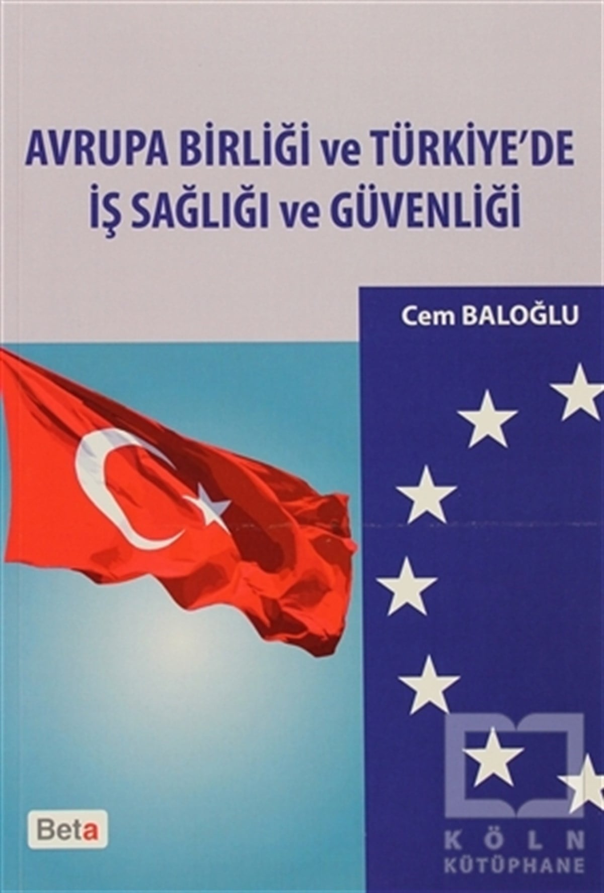 Cem BaloğluDers KitaplarıAvrupa Birliği ve Türkiye’de İş Sağlığı ve Güvenliği