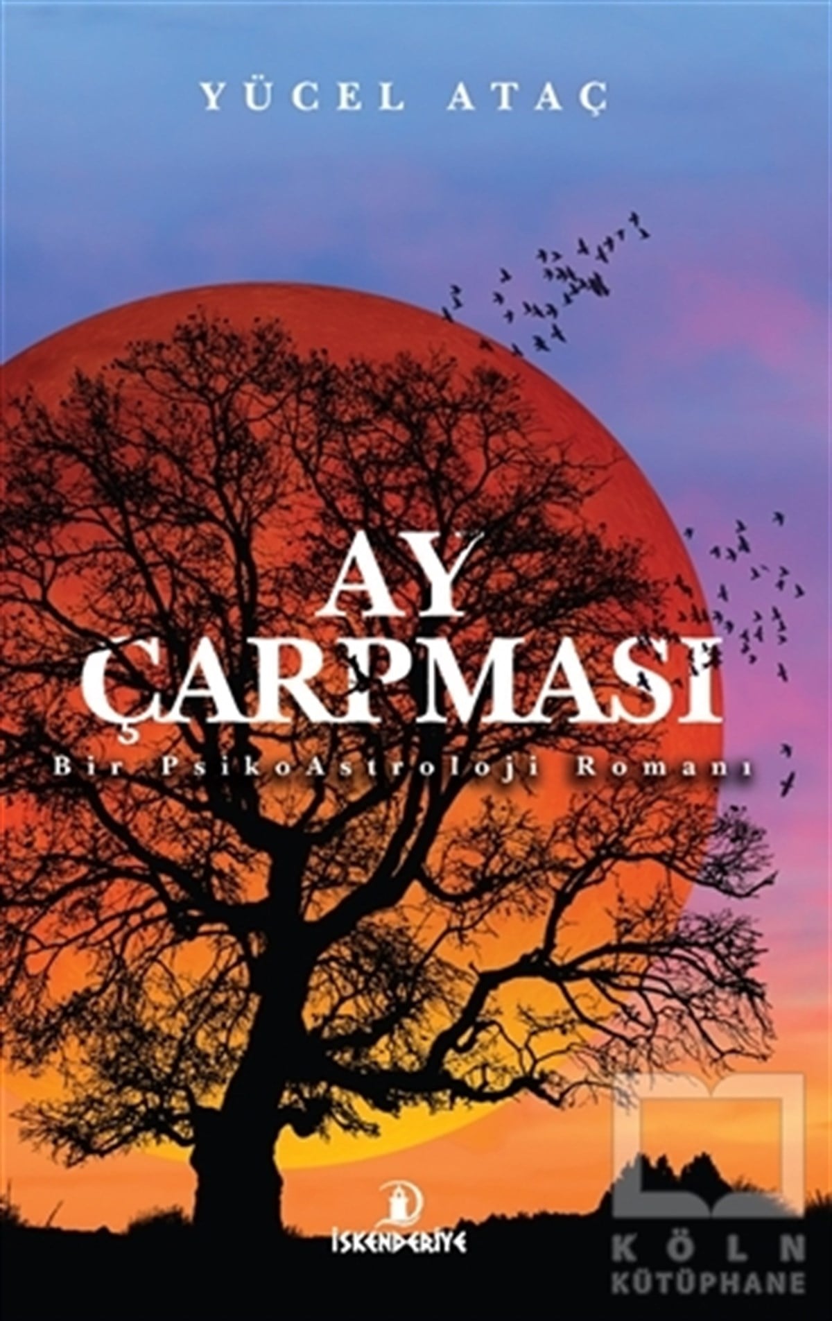 Yücel AtaçTürkçe RomanlarAy Çarpması