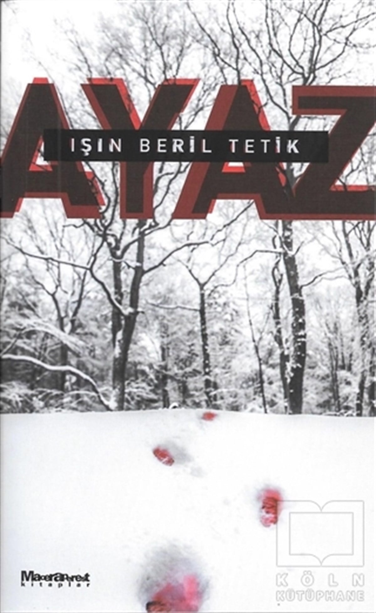Işın Beril TetikPolisiye Romanlar & Cinayet RomanlarıAyaz
